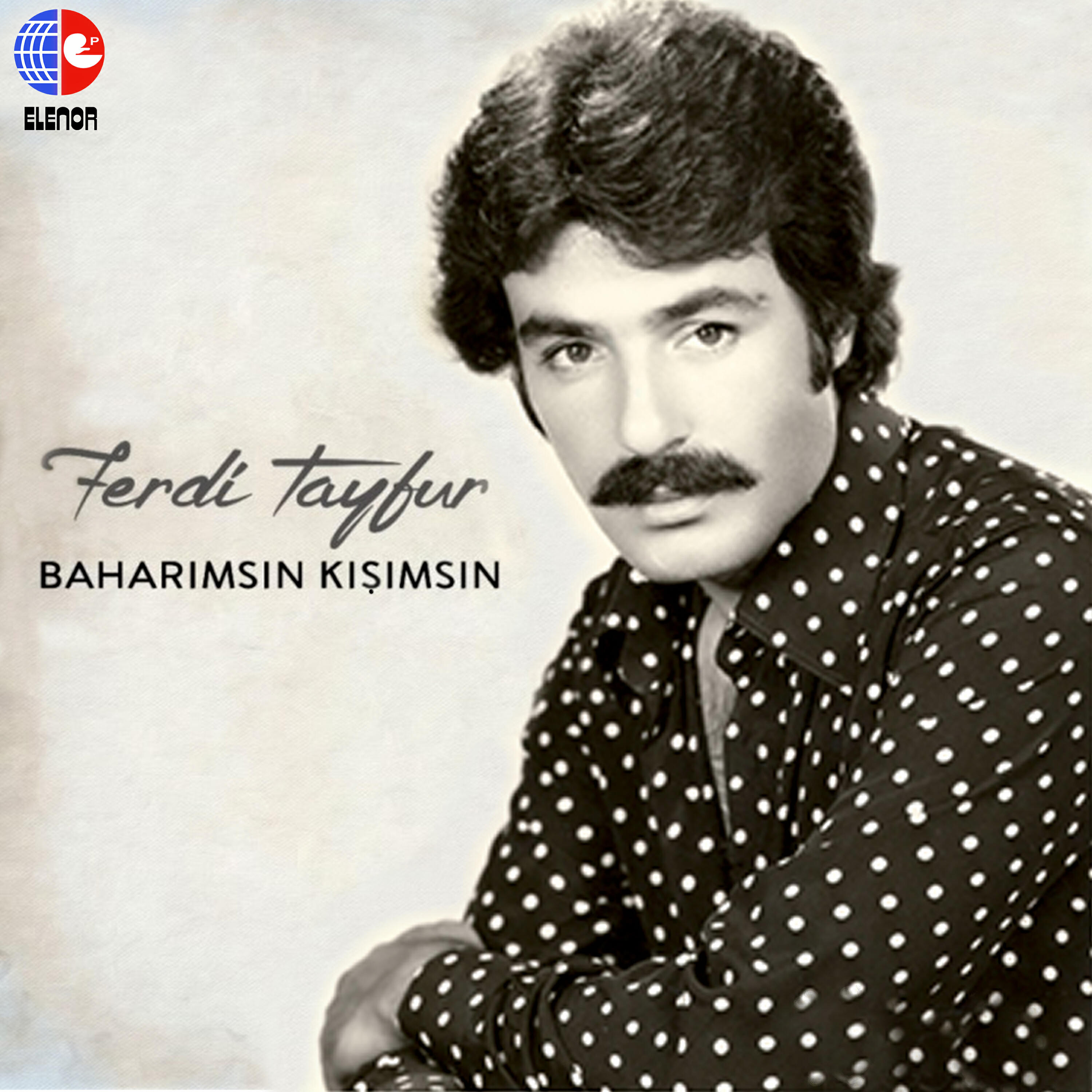 Постер альбома Baharımsın Kışımsın