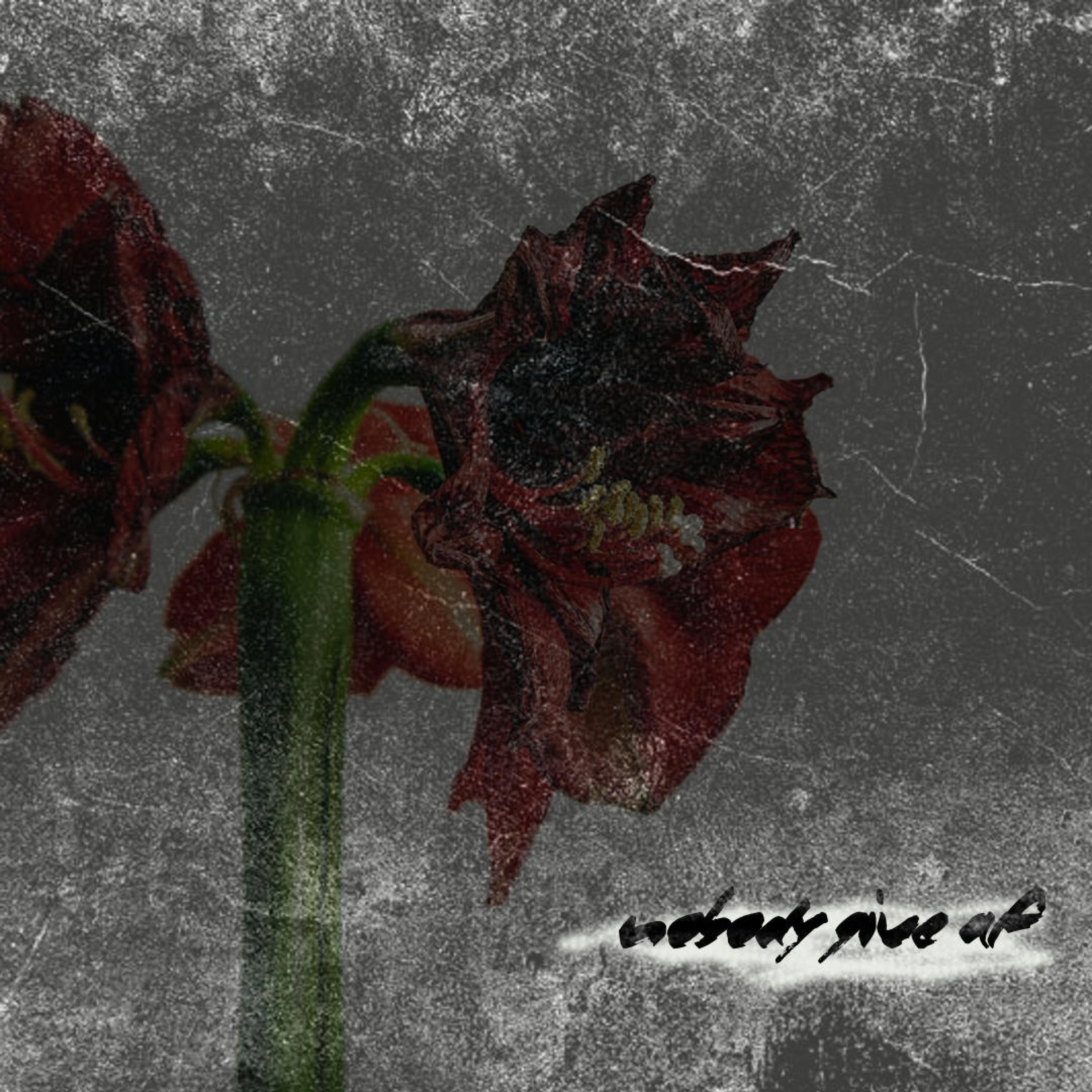 Релиз nobody give af