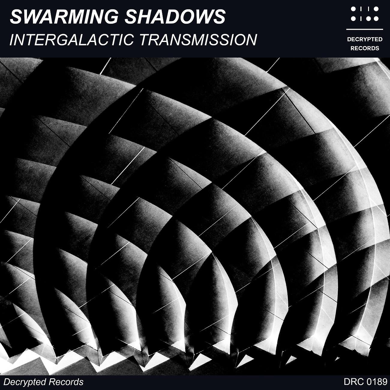 Swarming Shadows