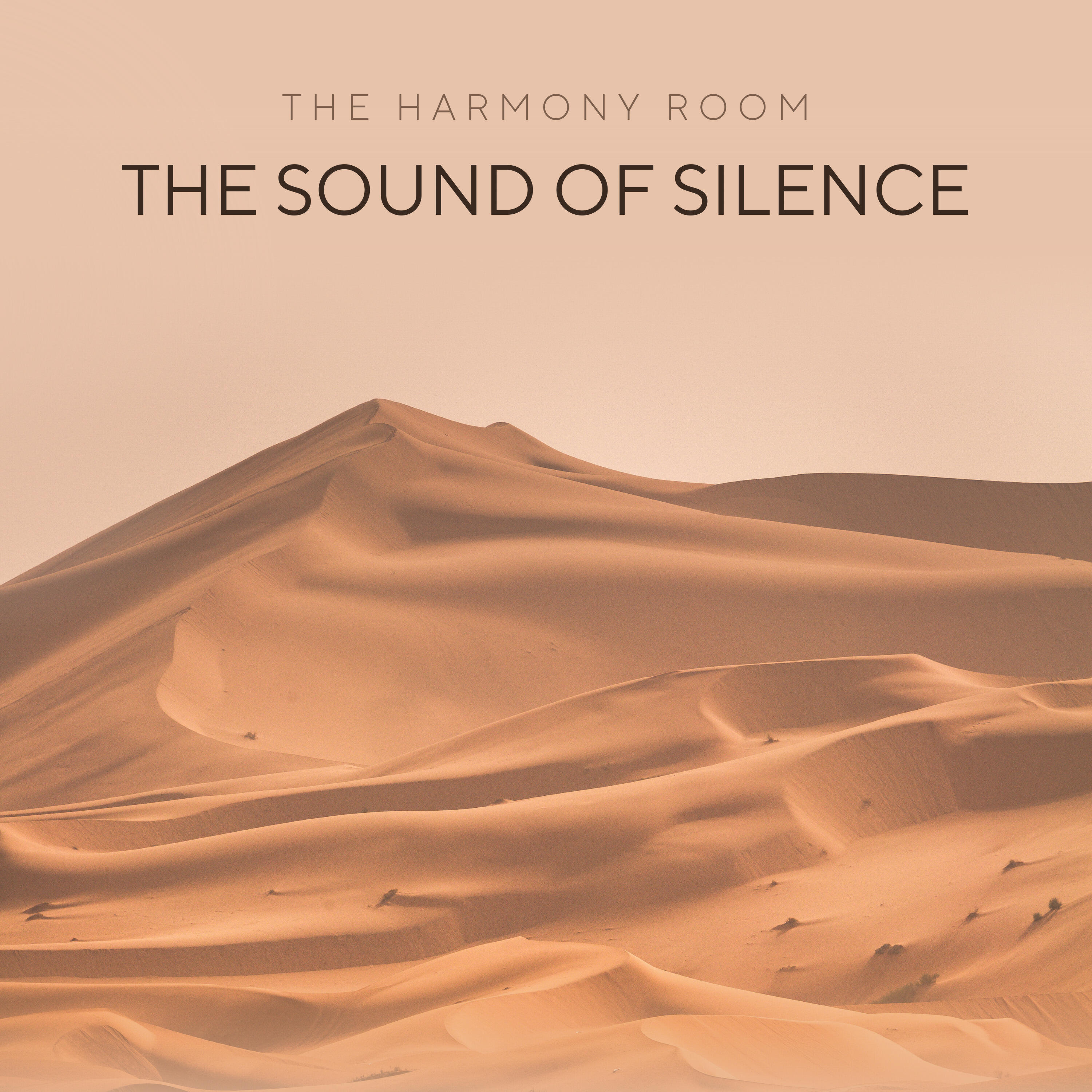 Релиз The Sound Of Silence