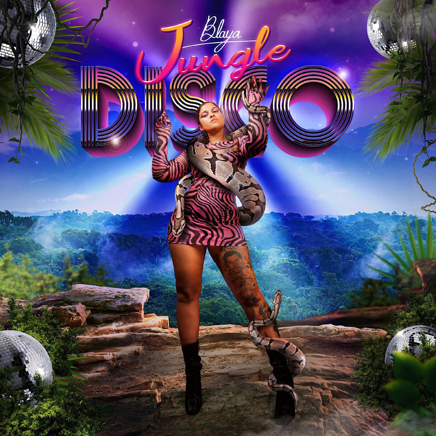 Релиз Jungle Disco
