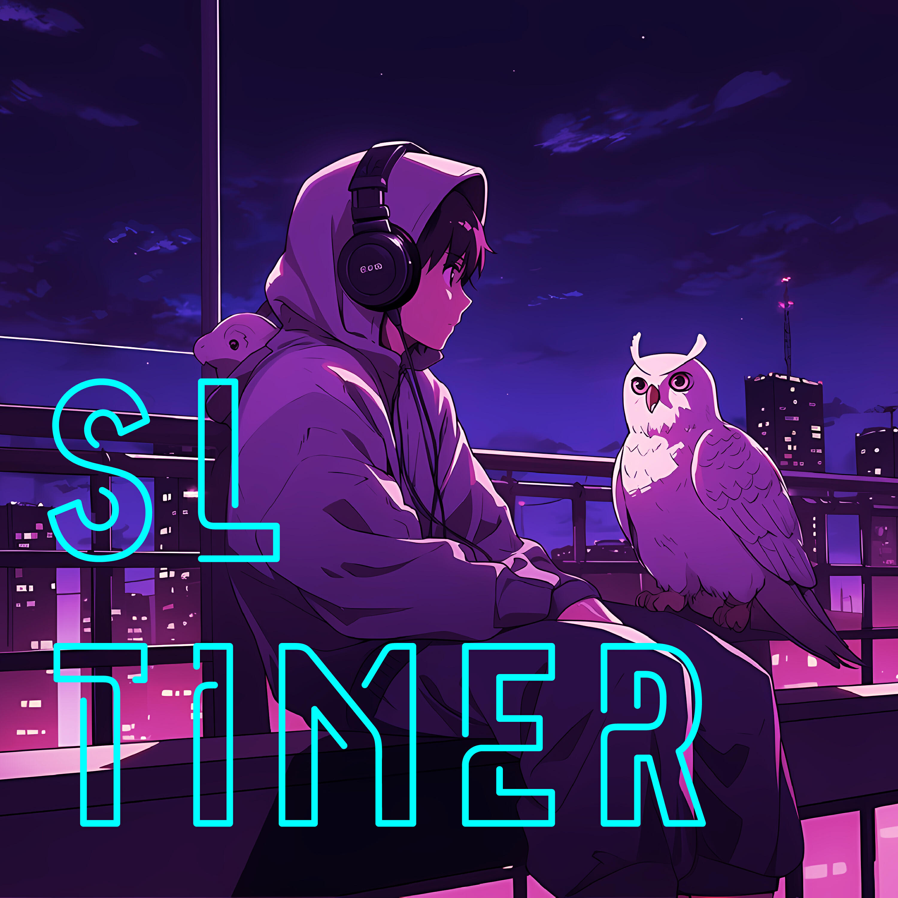 SL TIMER