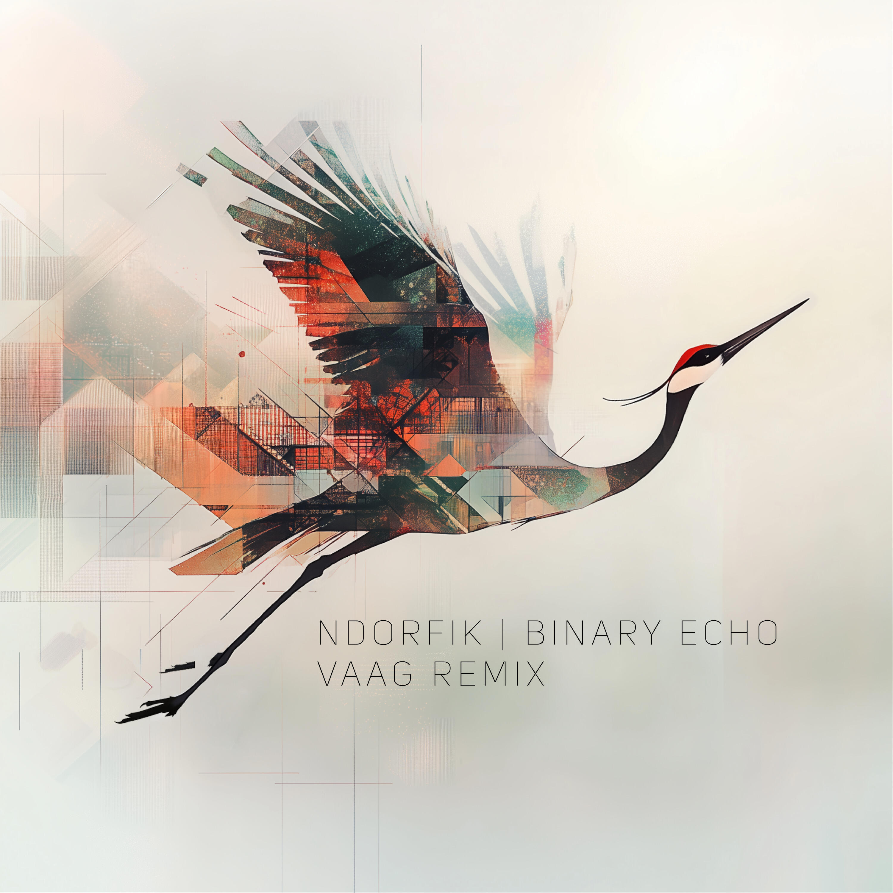 Релиз Binary Echo