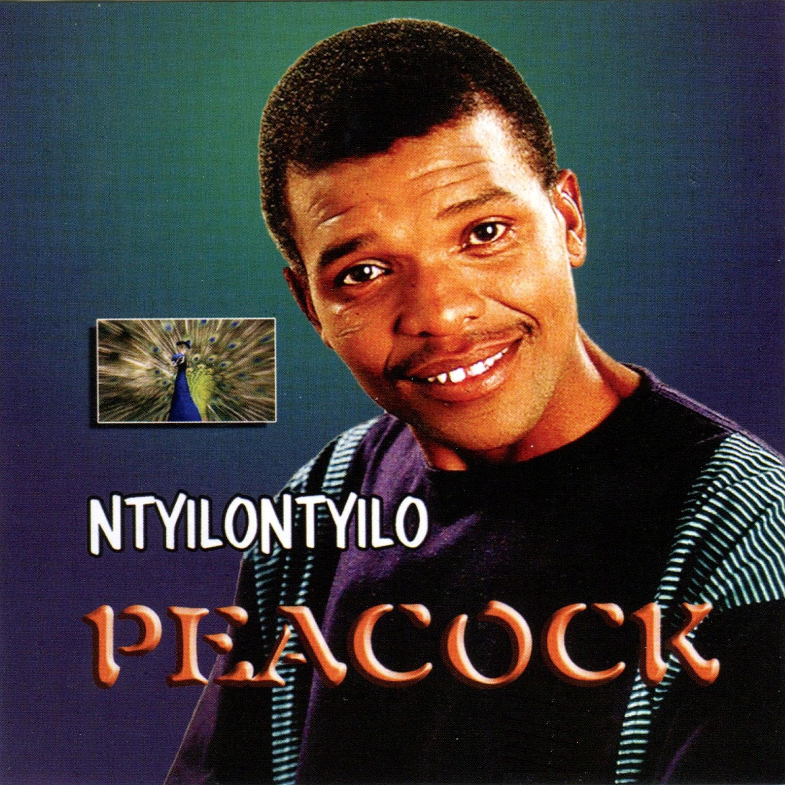 Релиз Ntyilontyilo