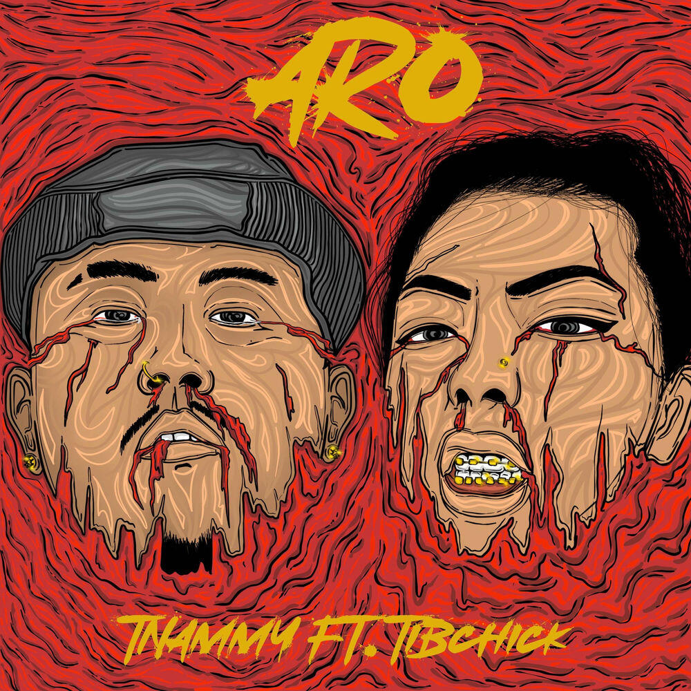 Релиз Aro