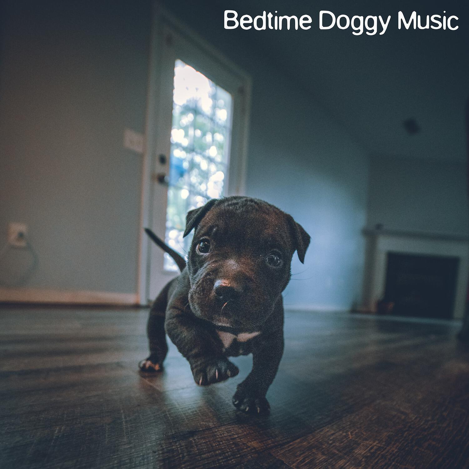 Релиз Bedtime Doggy Music
