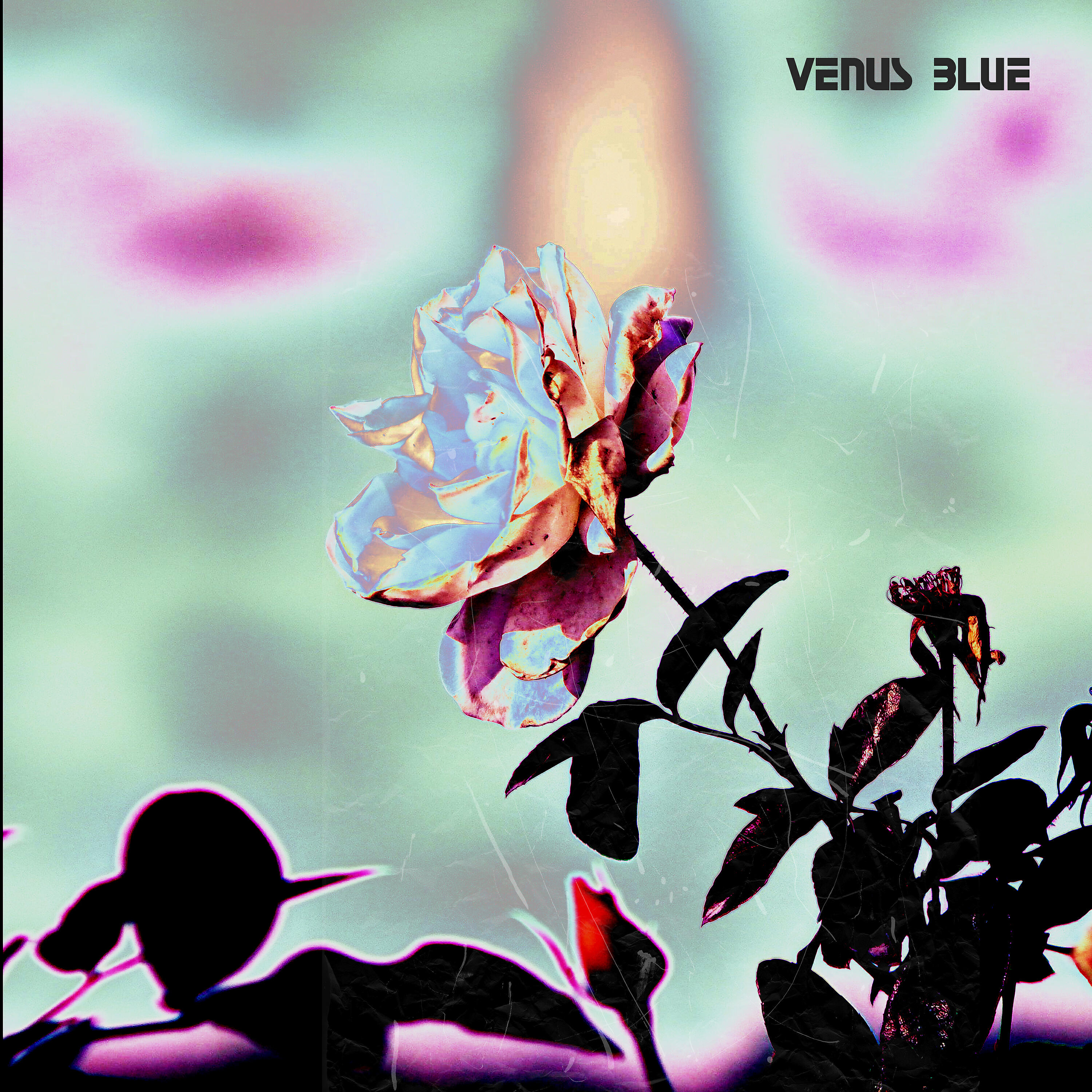 Релиз Venus Blue