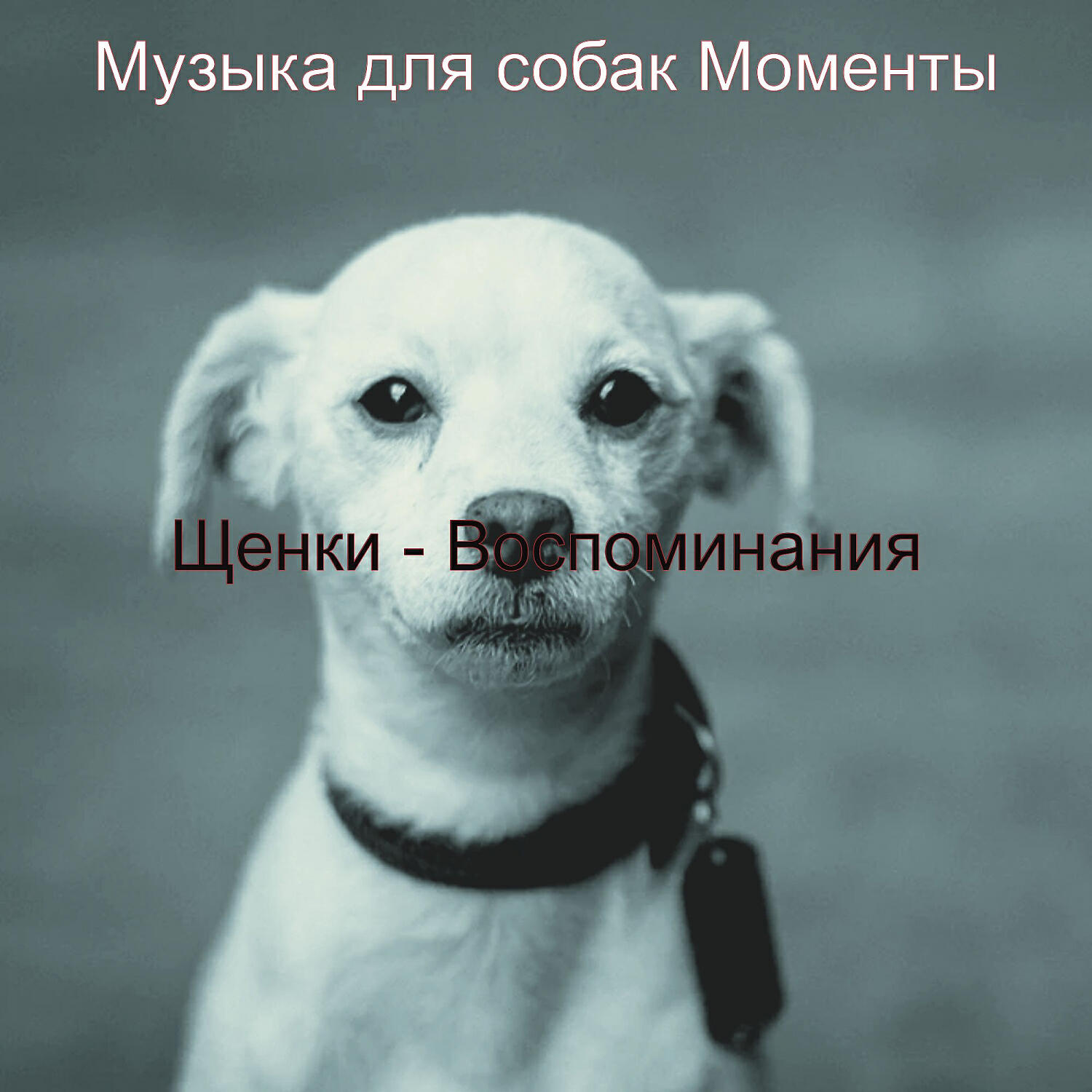 Релиз Щенки - Воспоминания