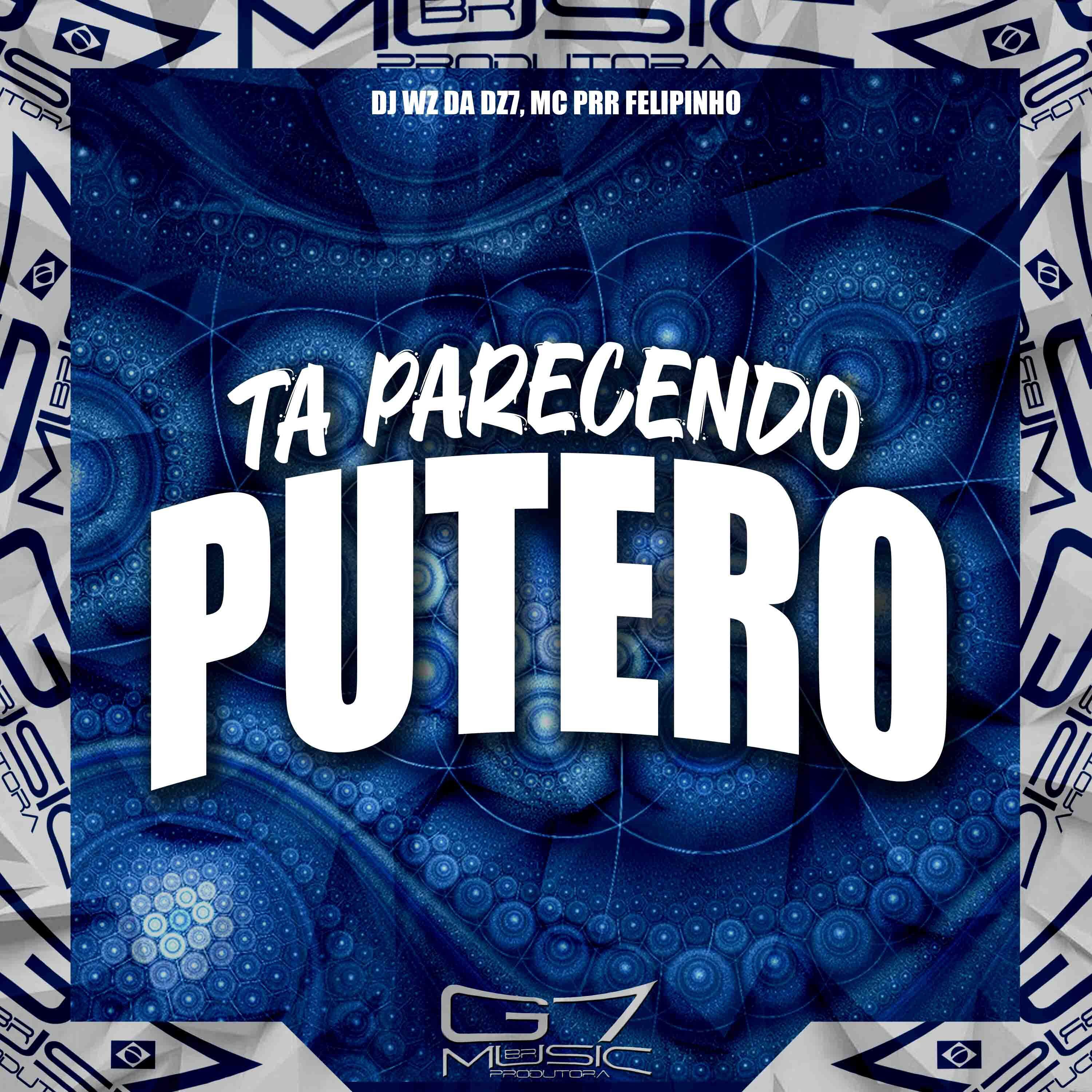 Скачать песню DJ WZ DA DZ7, mc prr felipinho, G7 MUSIC BR - Ta Parecendo Putero бесплатно в MP3 для Android и iOS