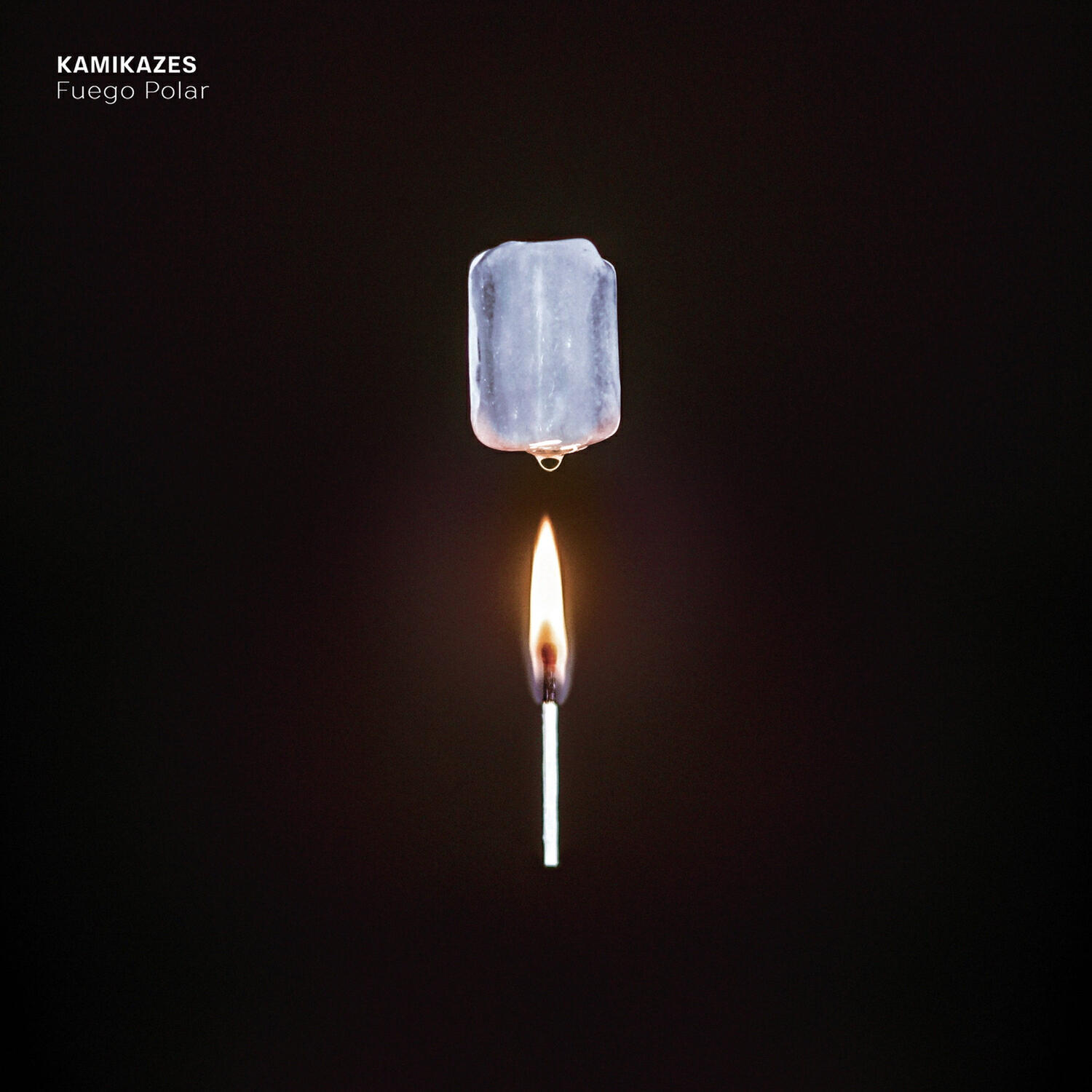 Релиз Fuego Polar