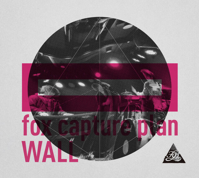 Релиз Wall
