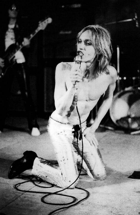 Iggy Pop and the Stooges