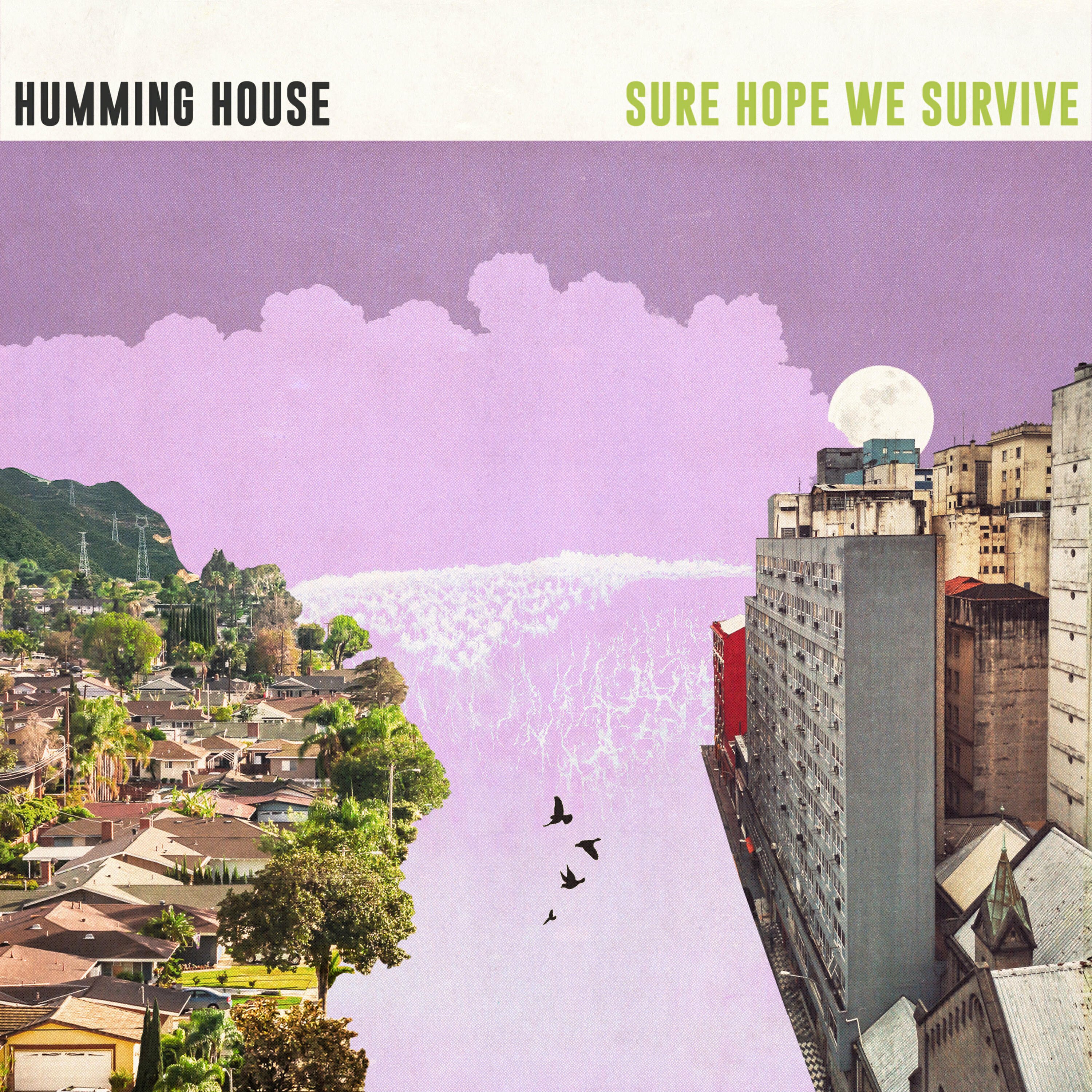 Релиз Sure Hope We Survive