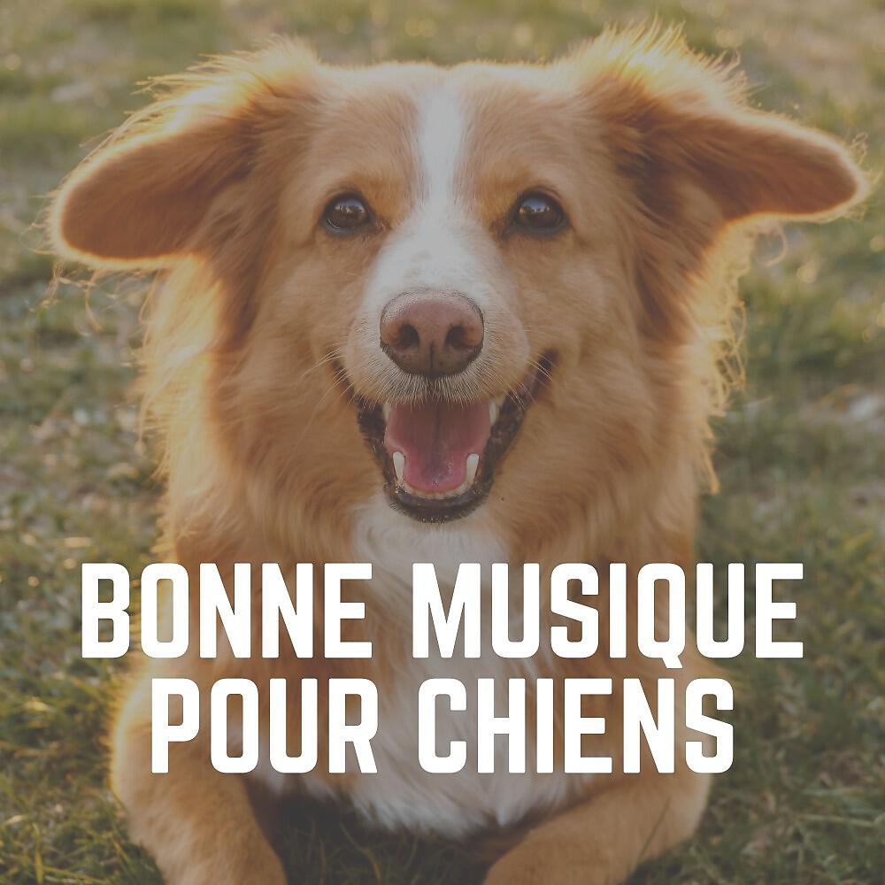 Релиз Bonne Musique Pour Chiens