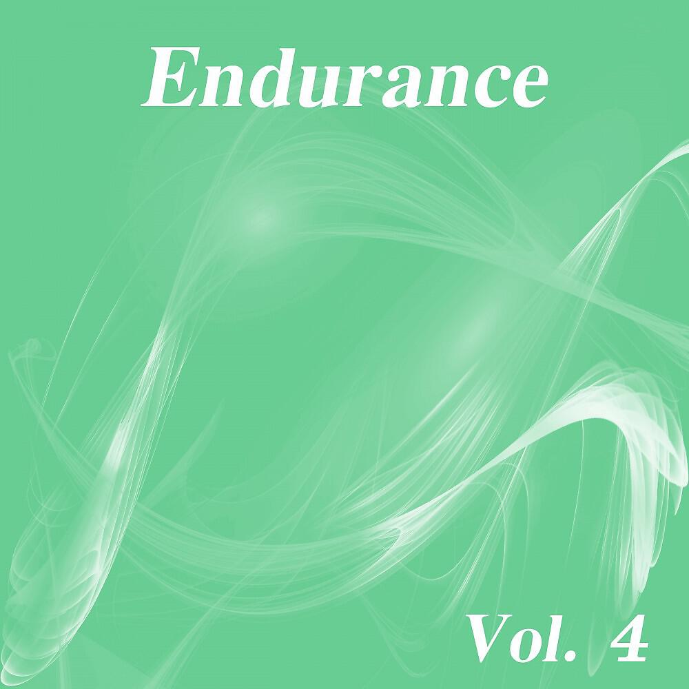 Релиз Endurance, Vol. 4
