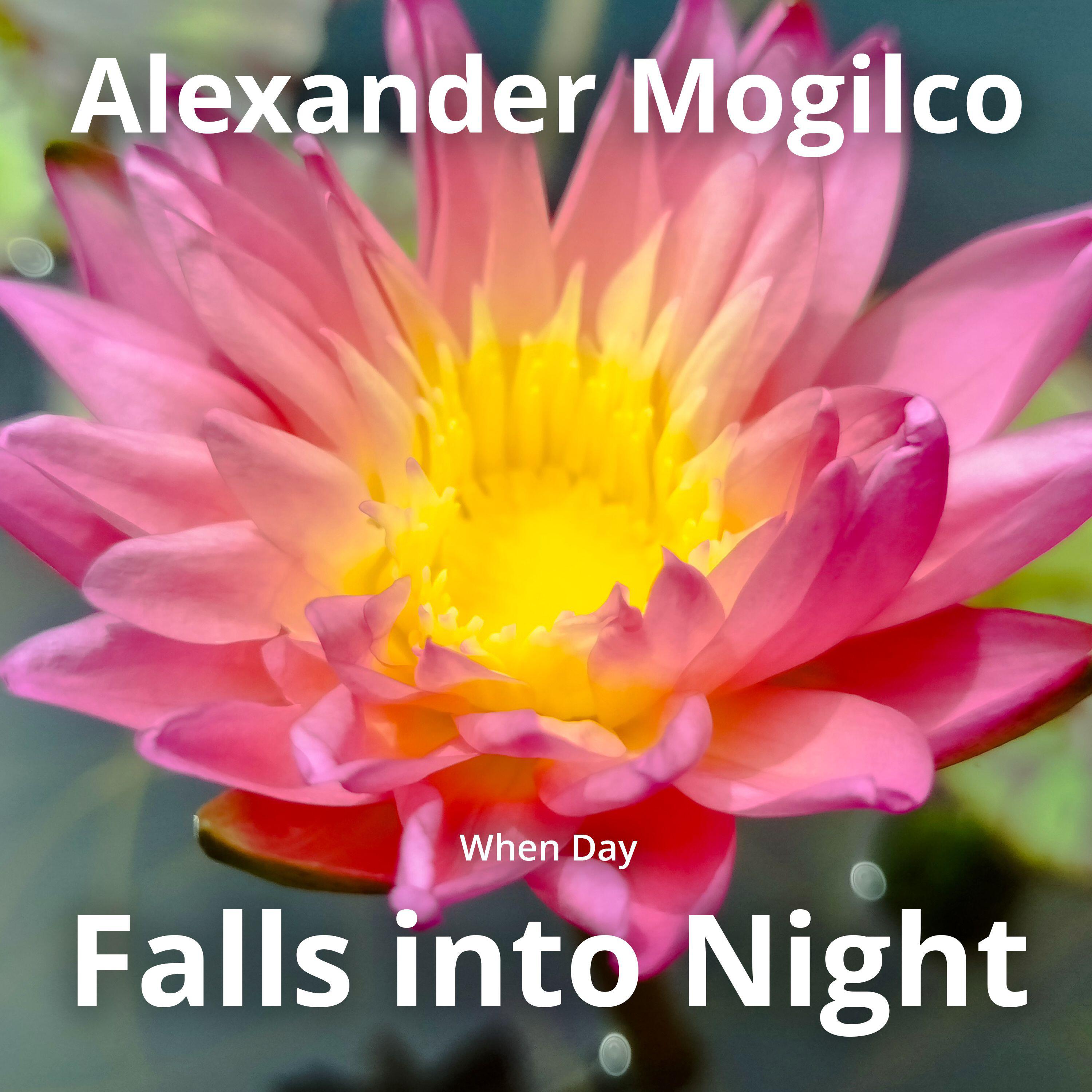 Релиз When Day Falls into Night