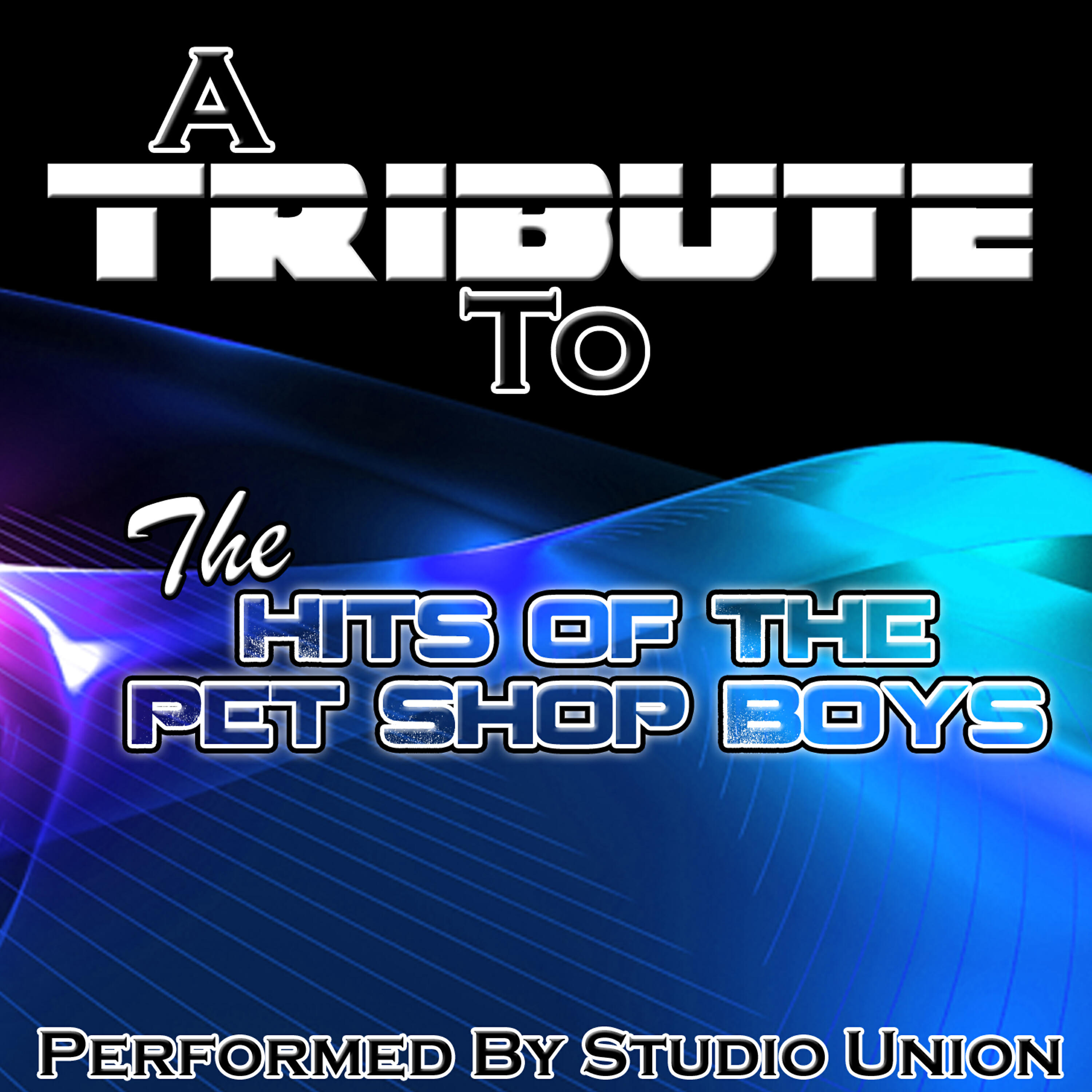 Релиз A Tribute to the Hits of The Pet Shop Boys