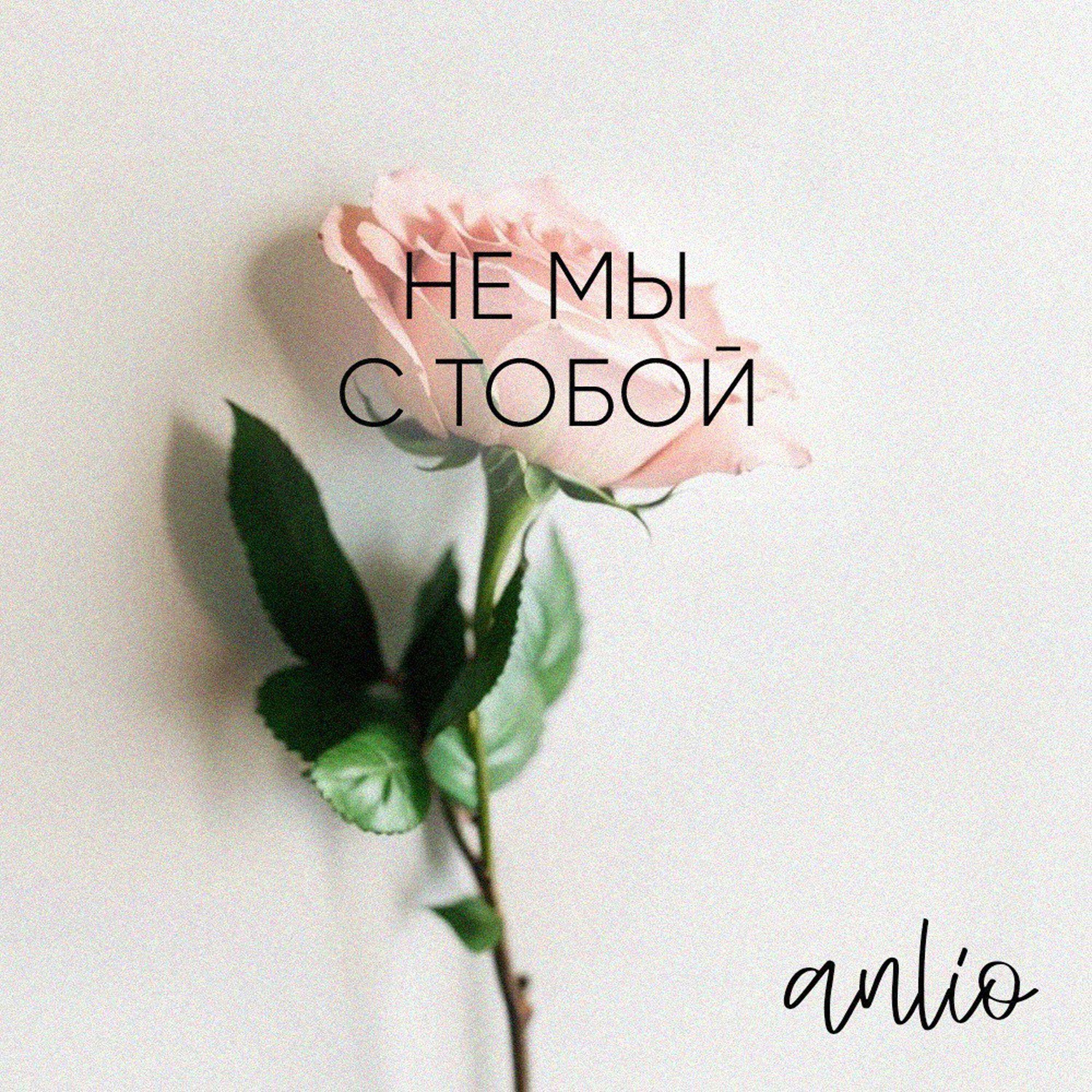 Постер альбома Не мы с тобой