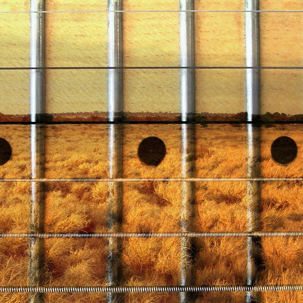 Релиз Guitar Country