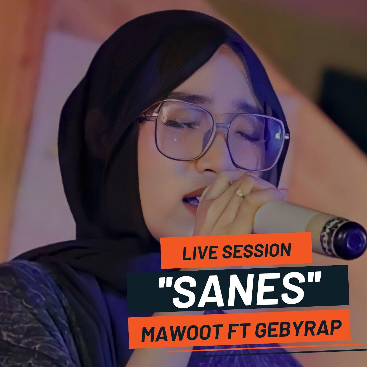 Релиз SANES