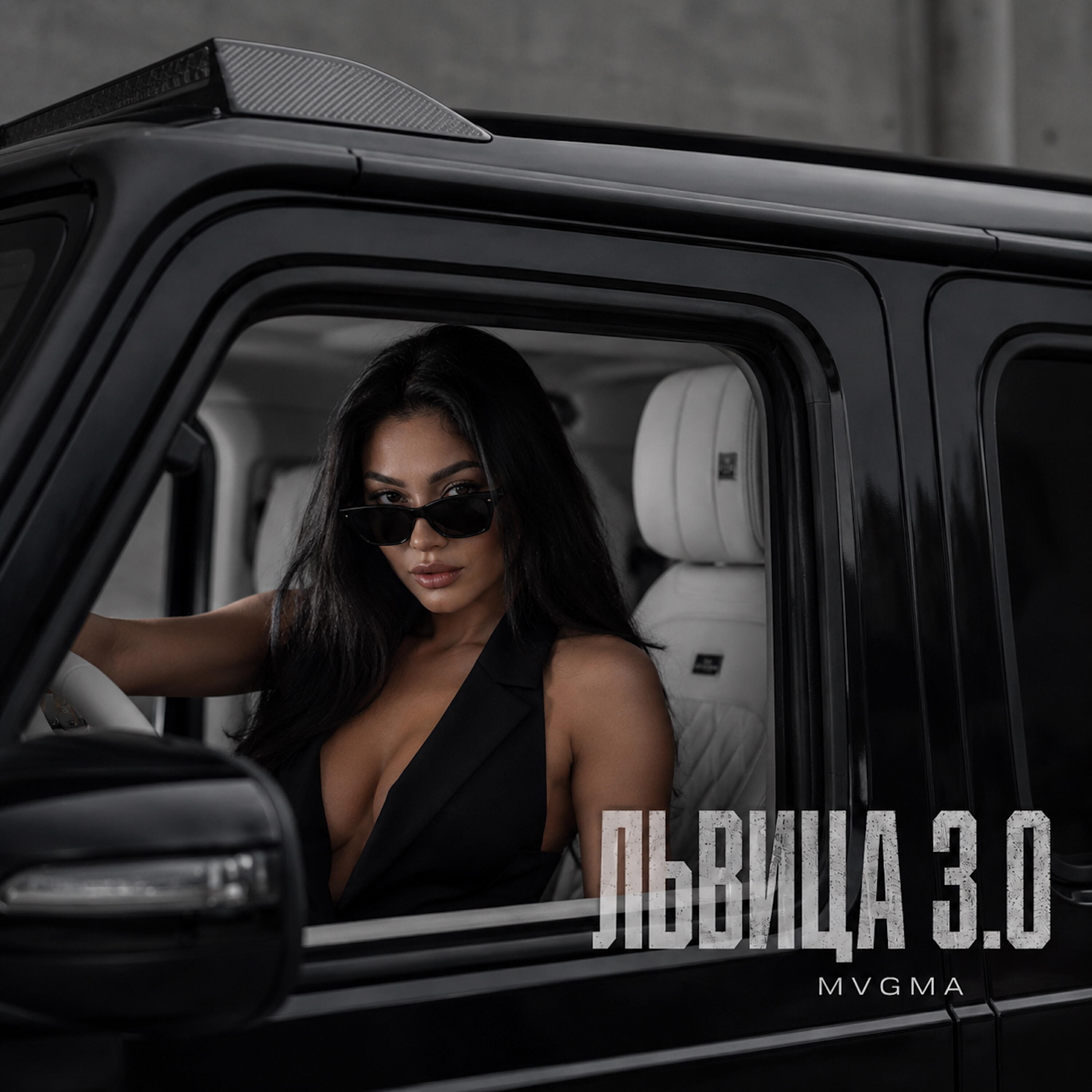 Релиз ЛЬВИЦА 3.0