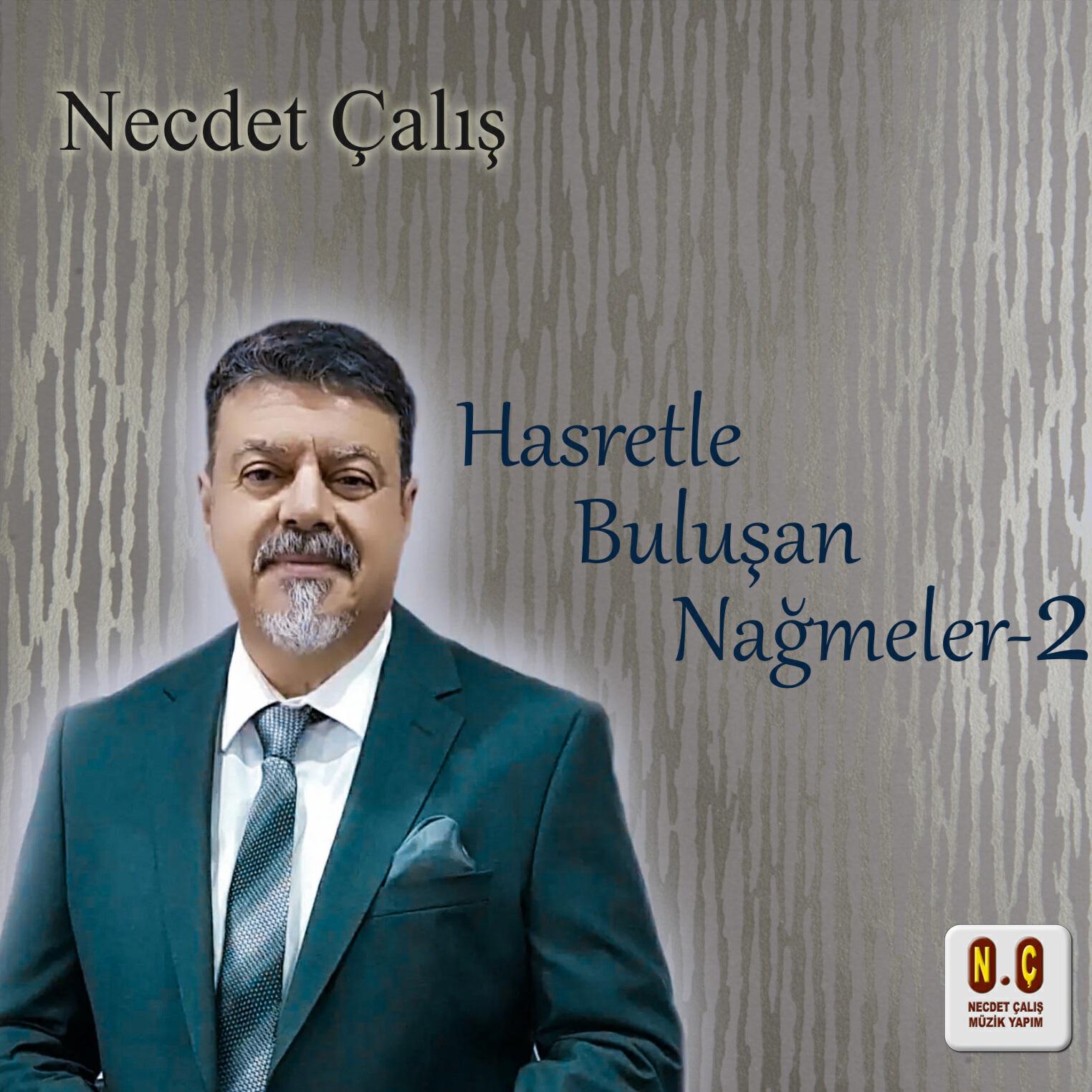 Релиз Hasretle Buluşan Nağmeler 2