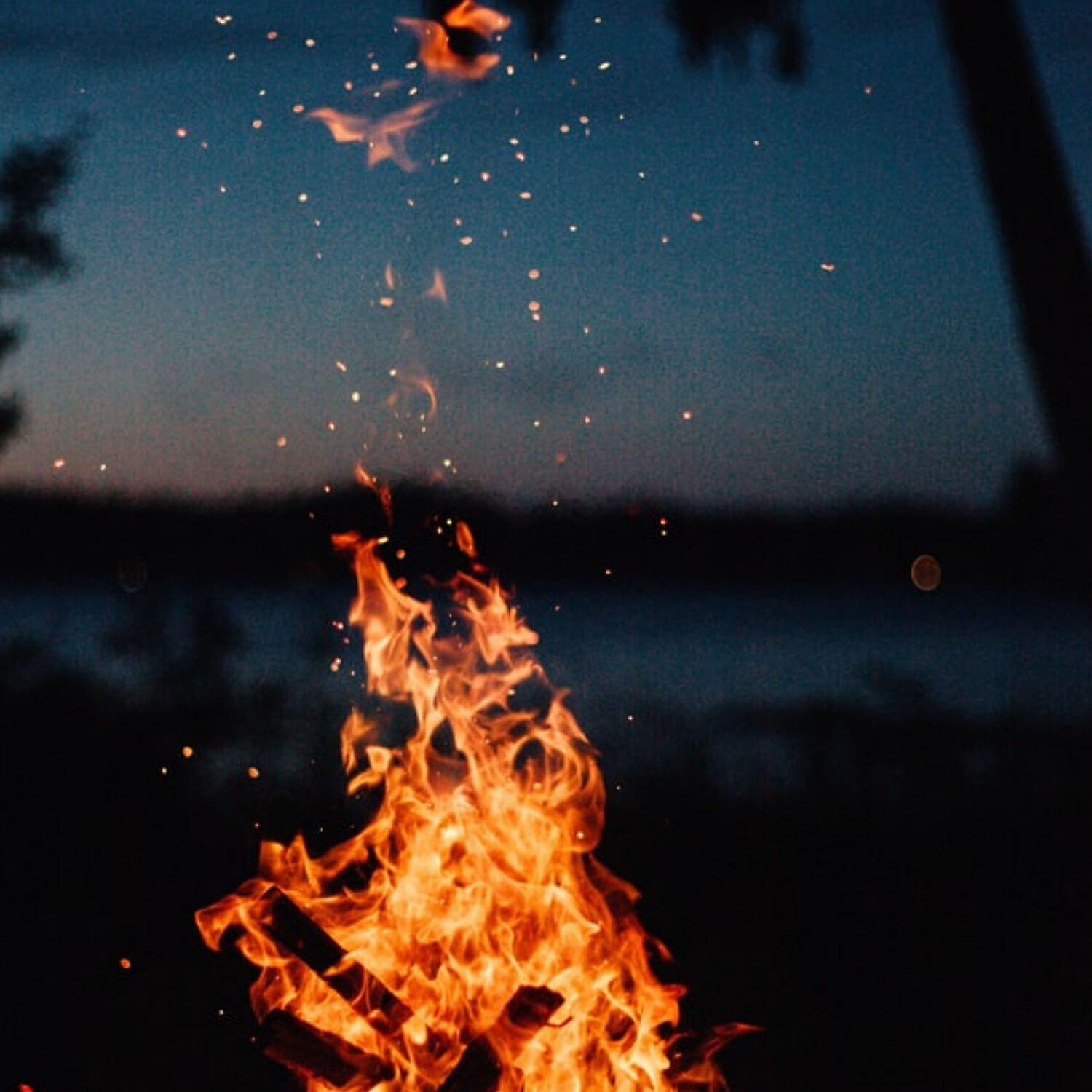 Постер альбома Fire Music: Campfire Sounds and Relaxing Fire Music