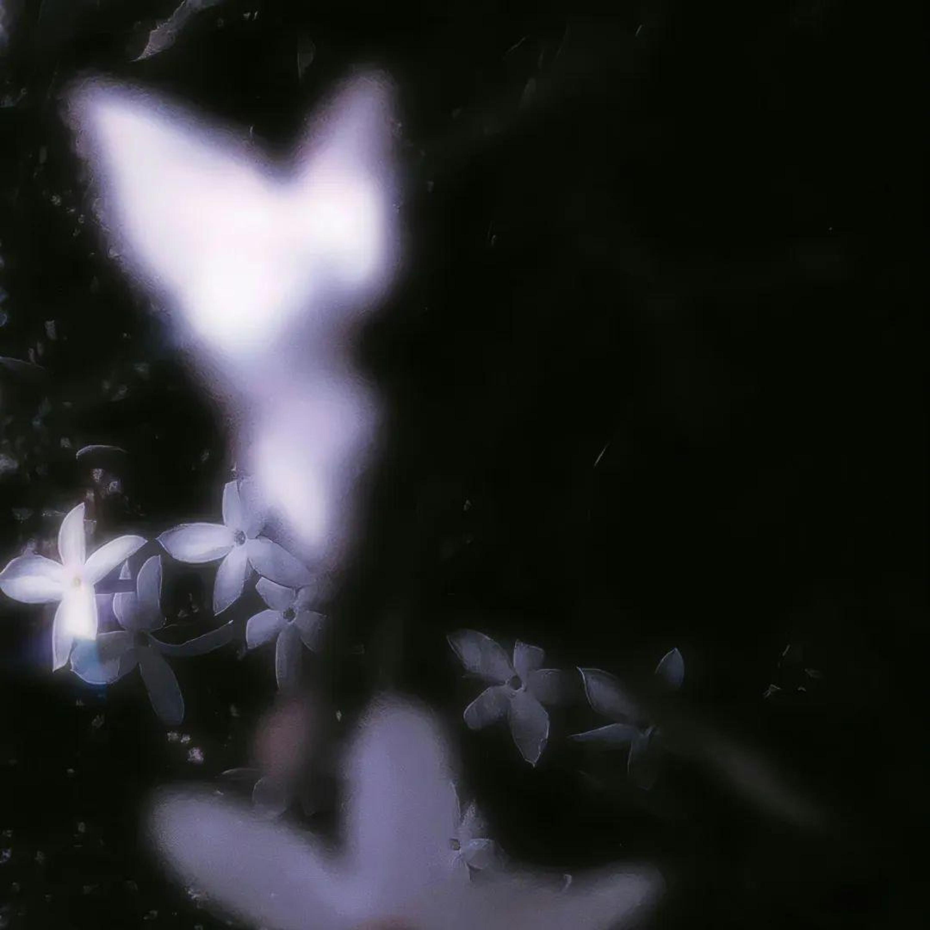 Релиз 失爱记