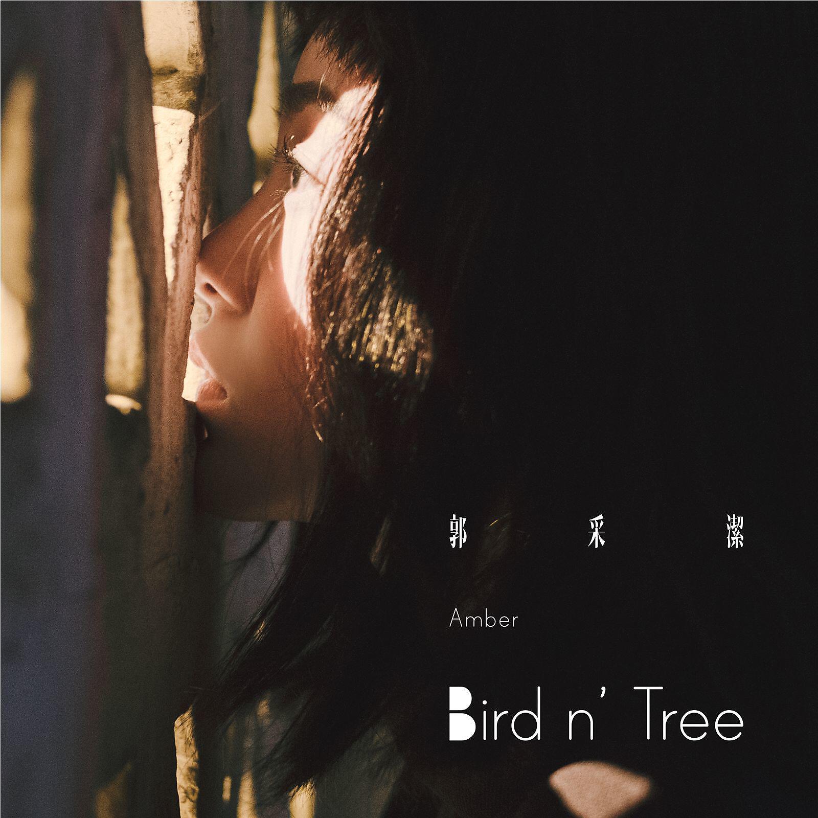 Релиз Bird n' Tree