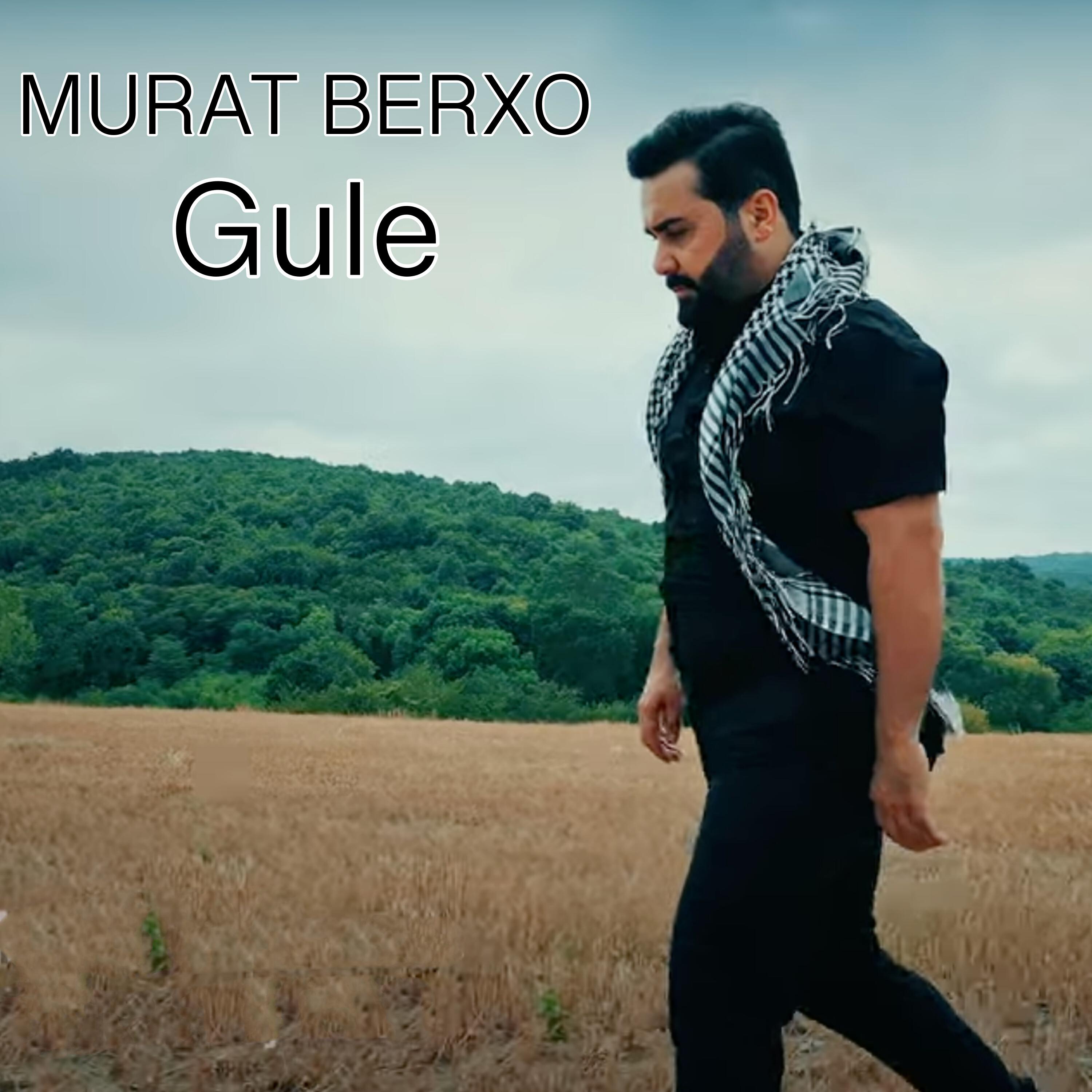 Релиз Gule