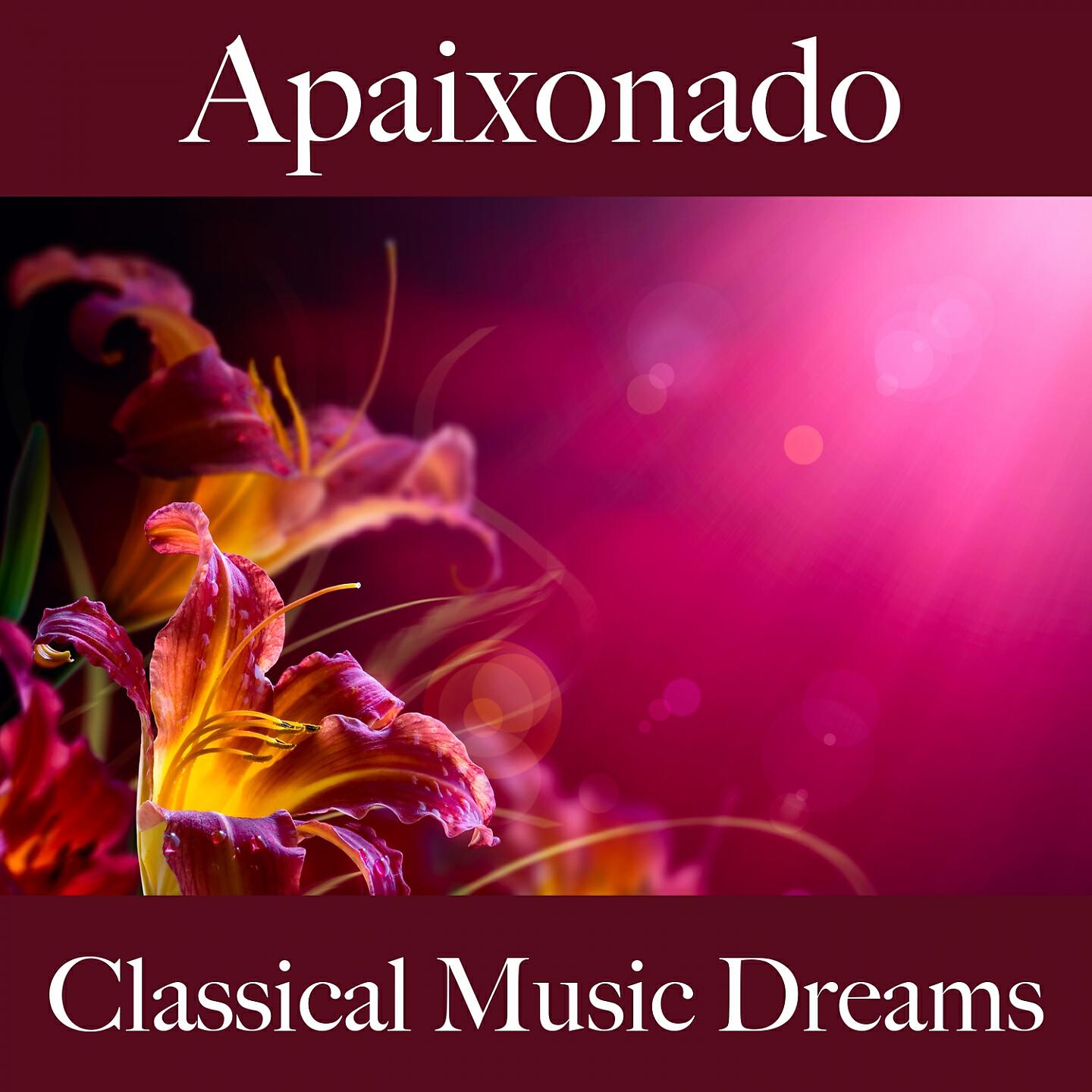 Релиз Apaixonado: Classical Music Dreams - A Melhor Música Para Momentos Sensuais A Dois