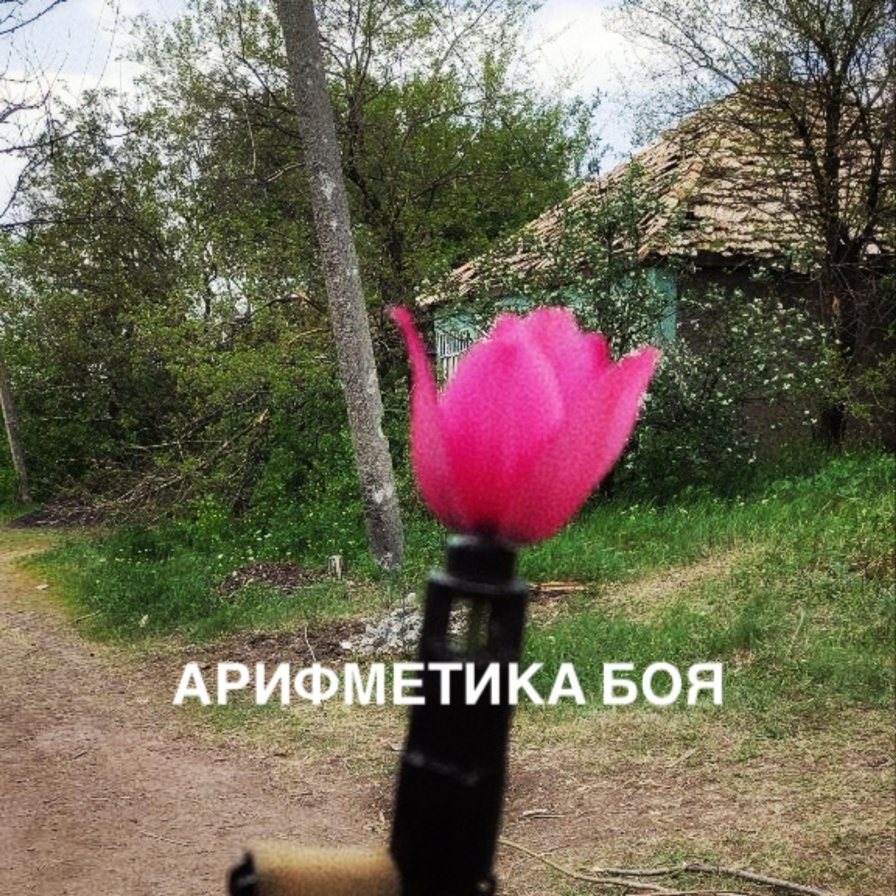 Релиз Арифметика боя
