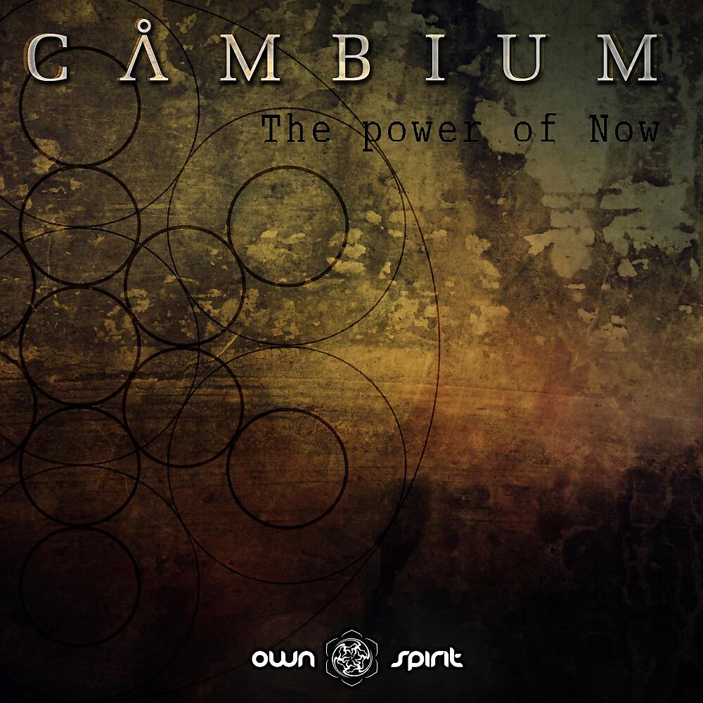 Постер альбома The Power of Now