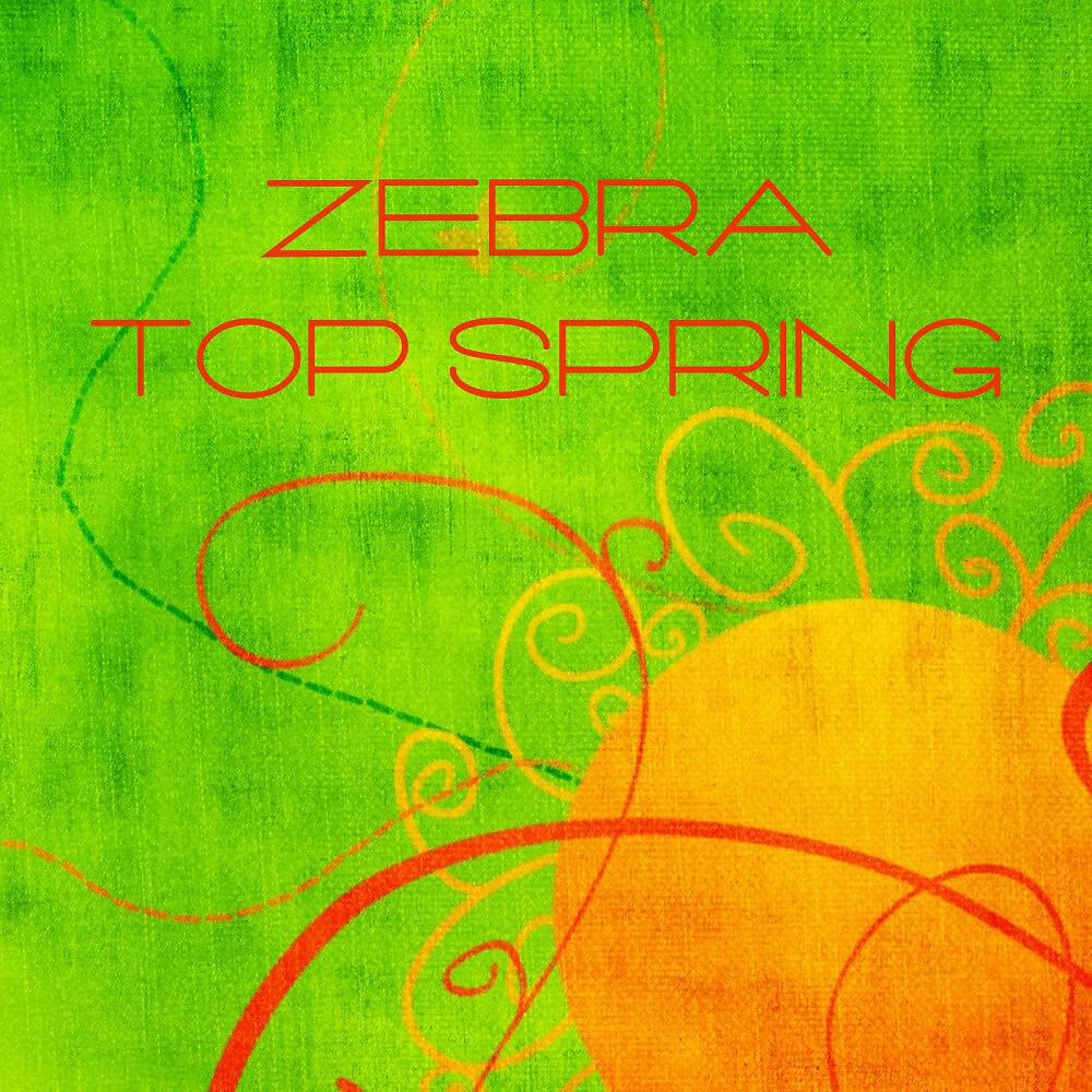 Релиз Zebra Top Spring