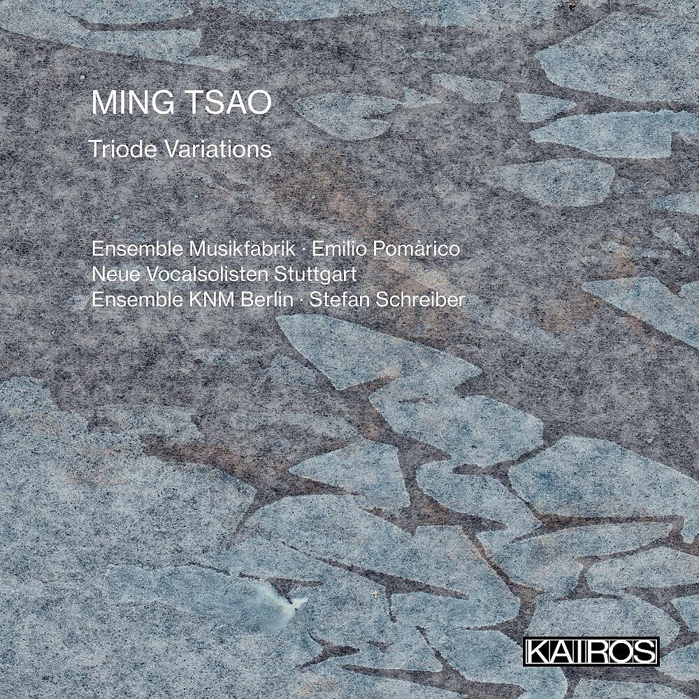 Релиз Ming Tsao: Triode Variations