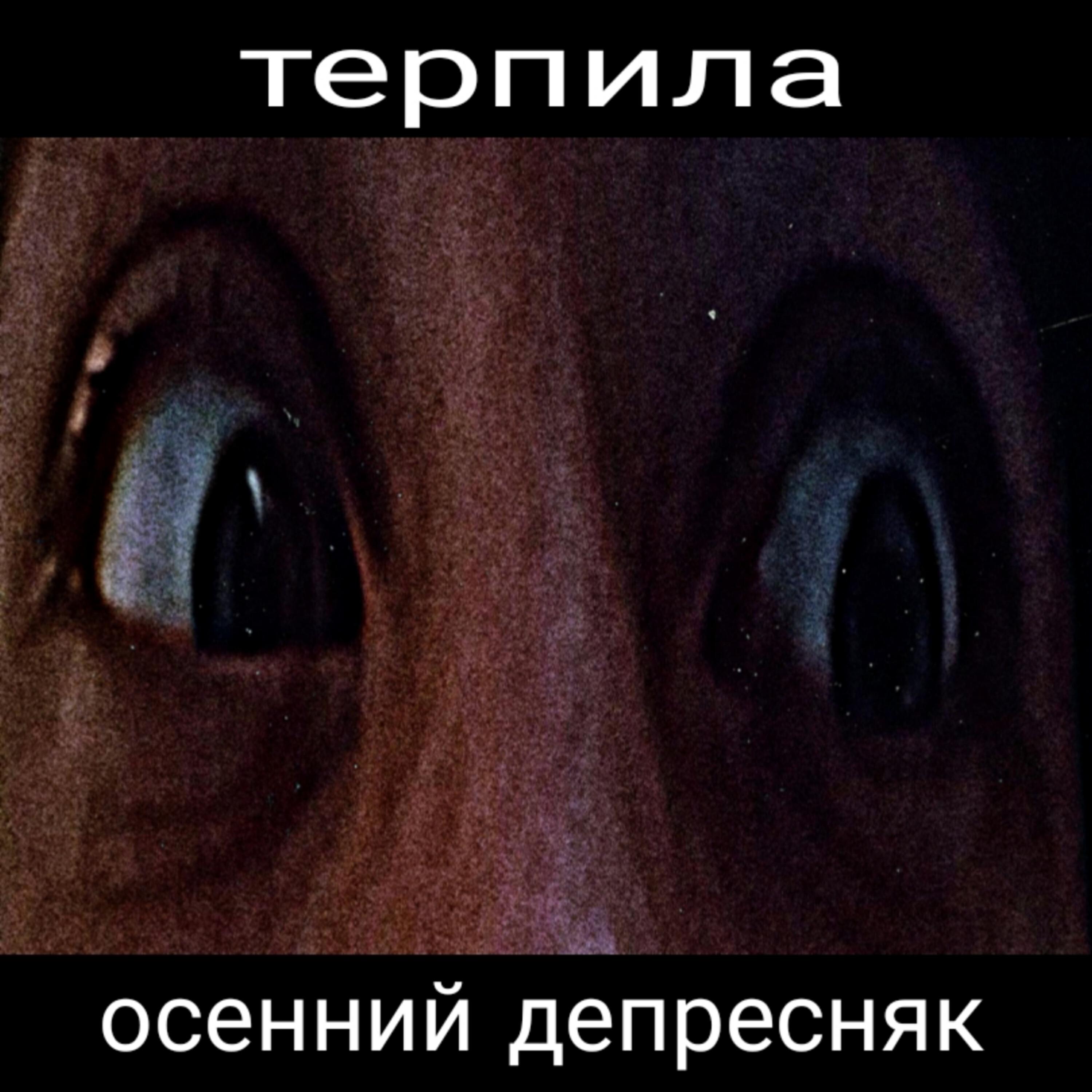 Релиз Терпила