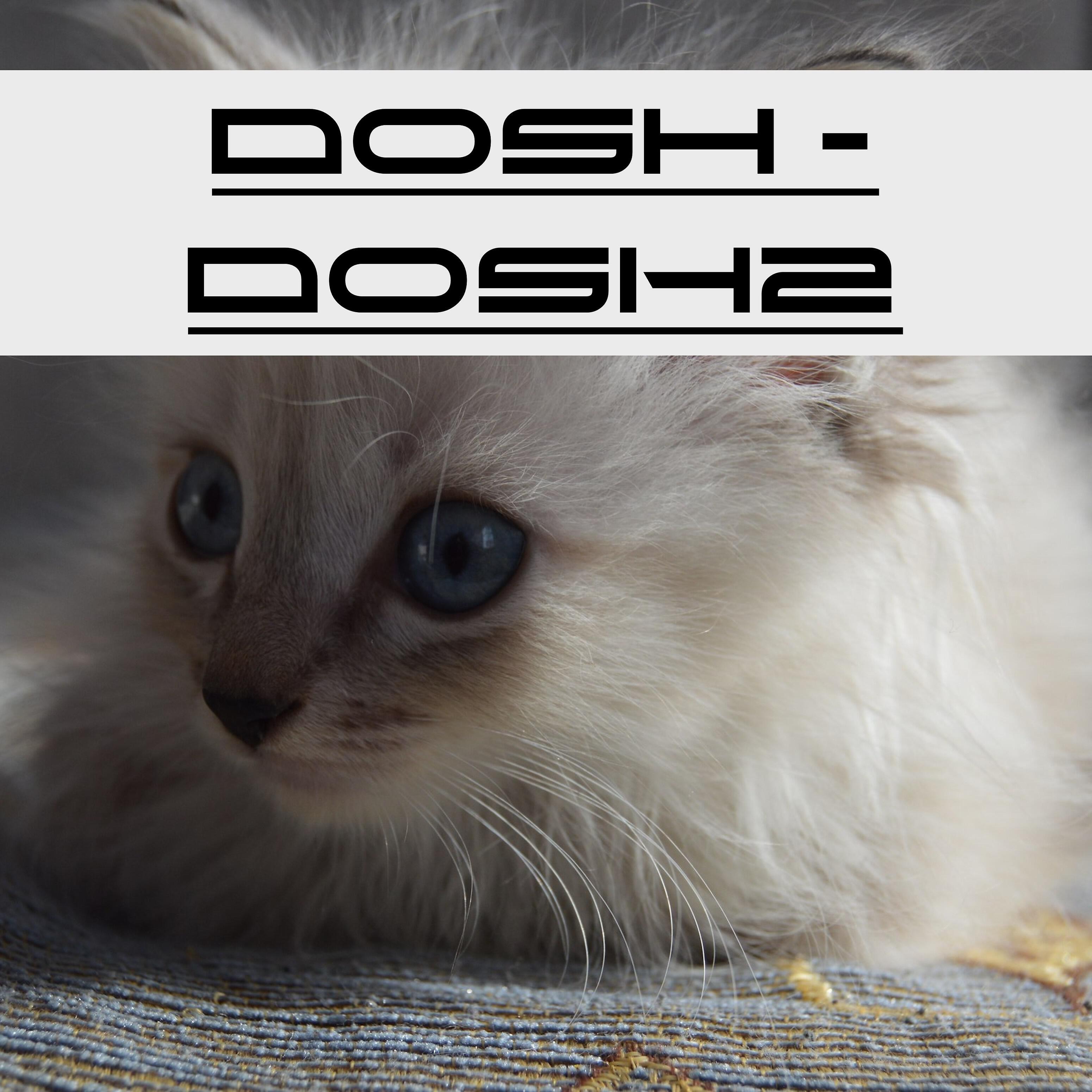 Релиз Dosh2