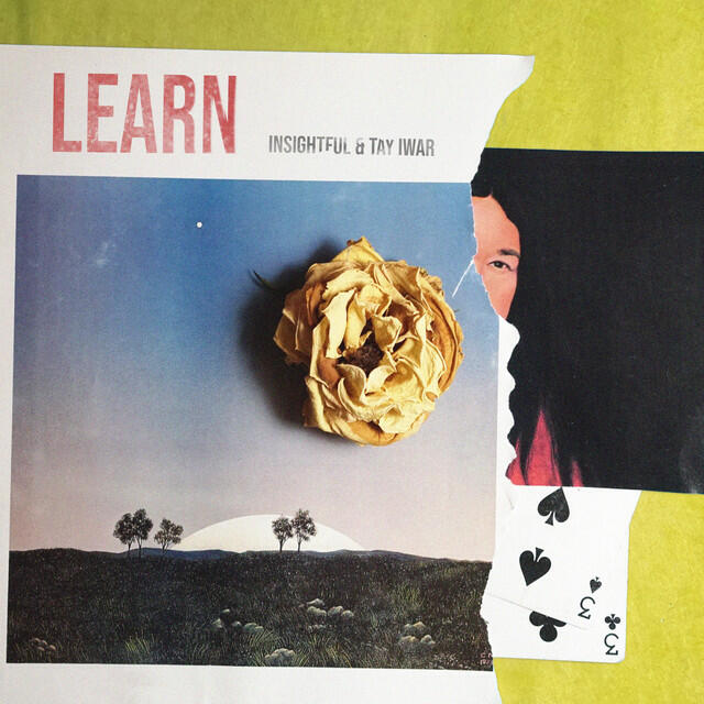 Релиз Learn