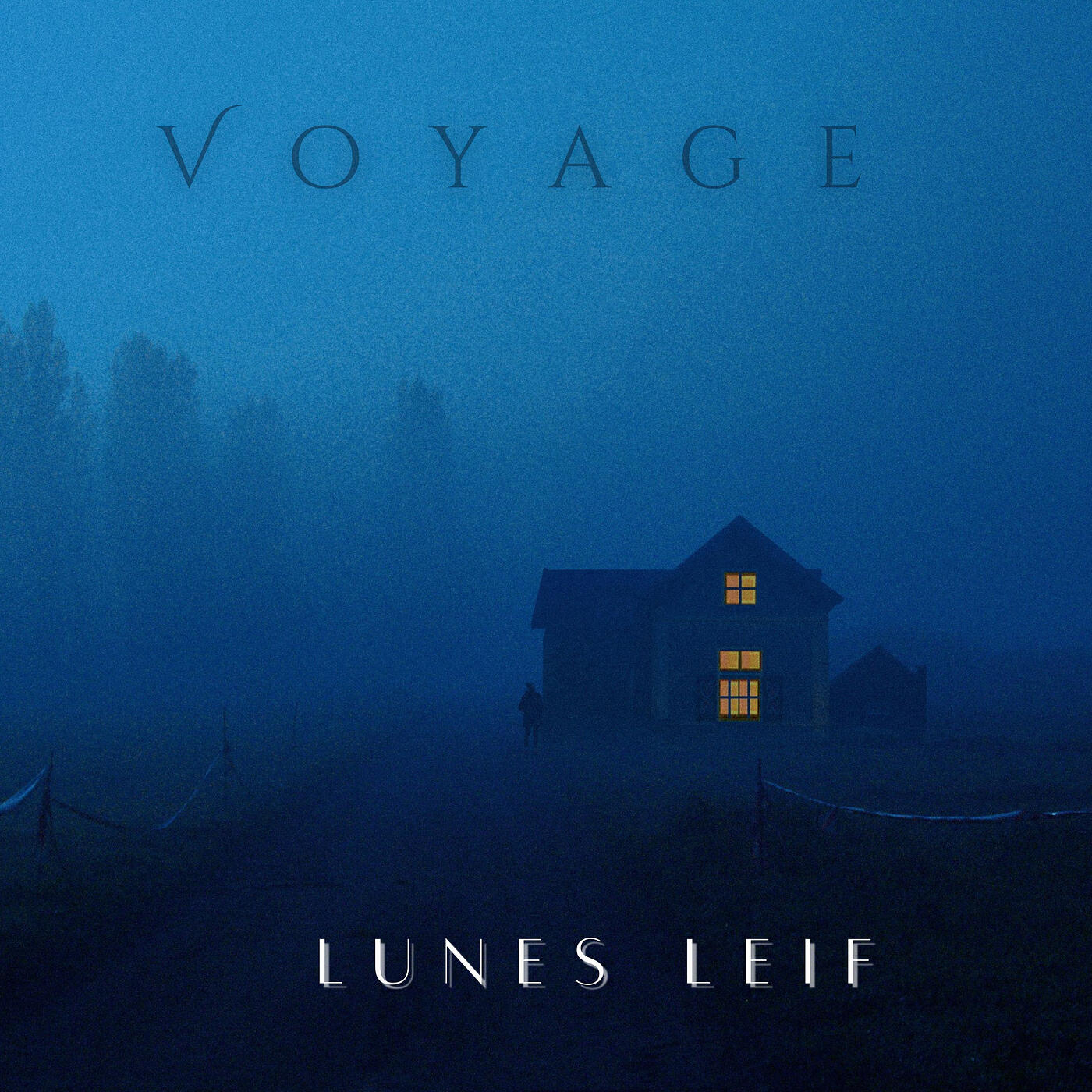 Релиз Voyage
