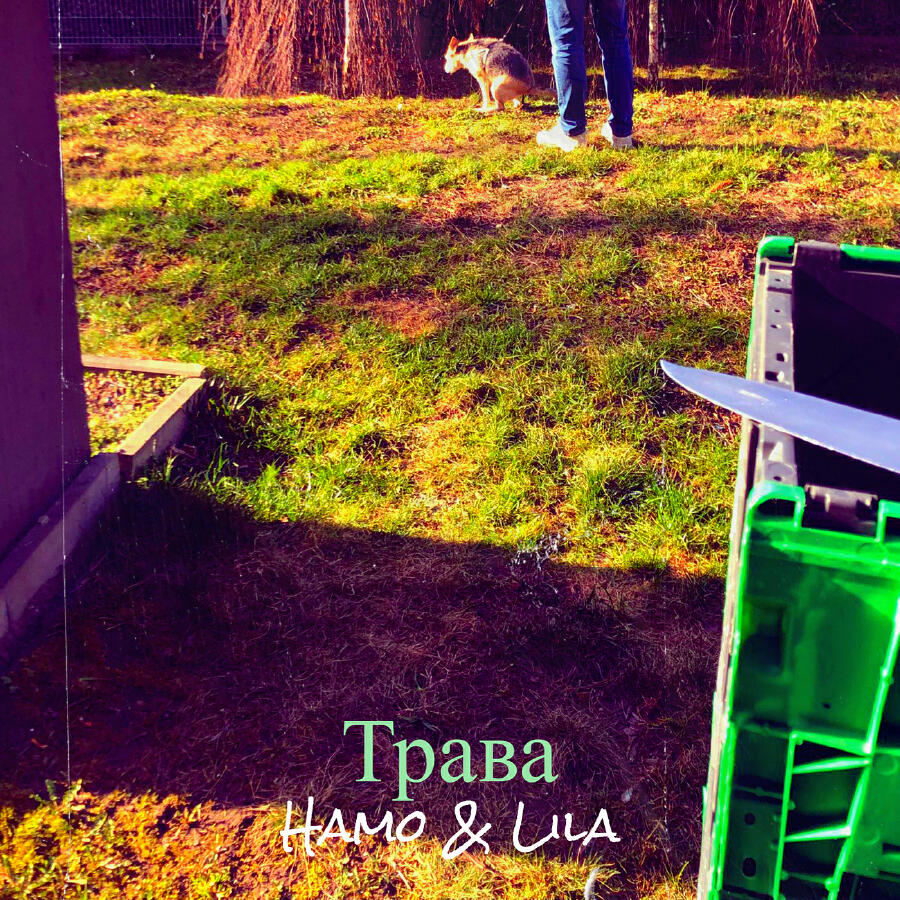 Волна по релизу