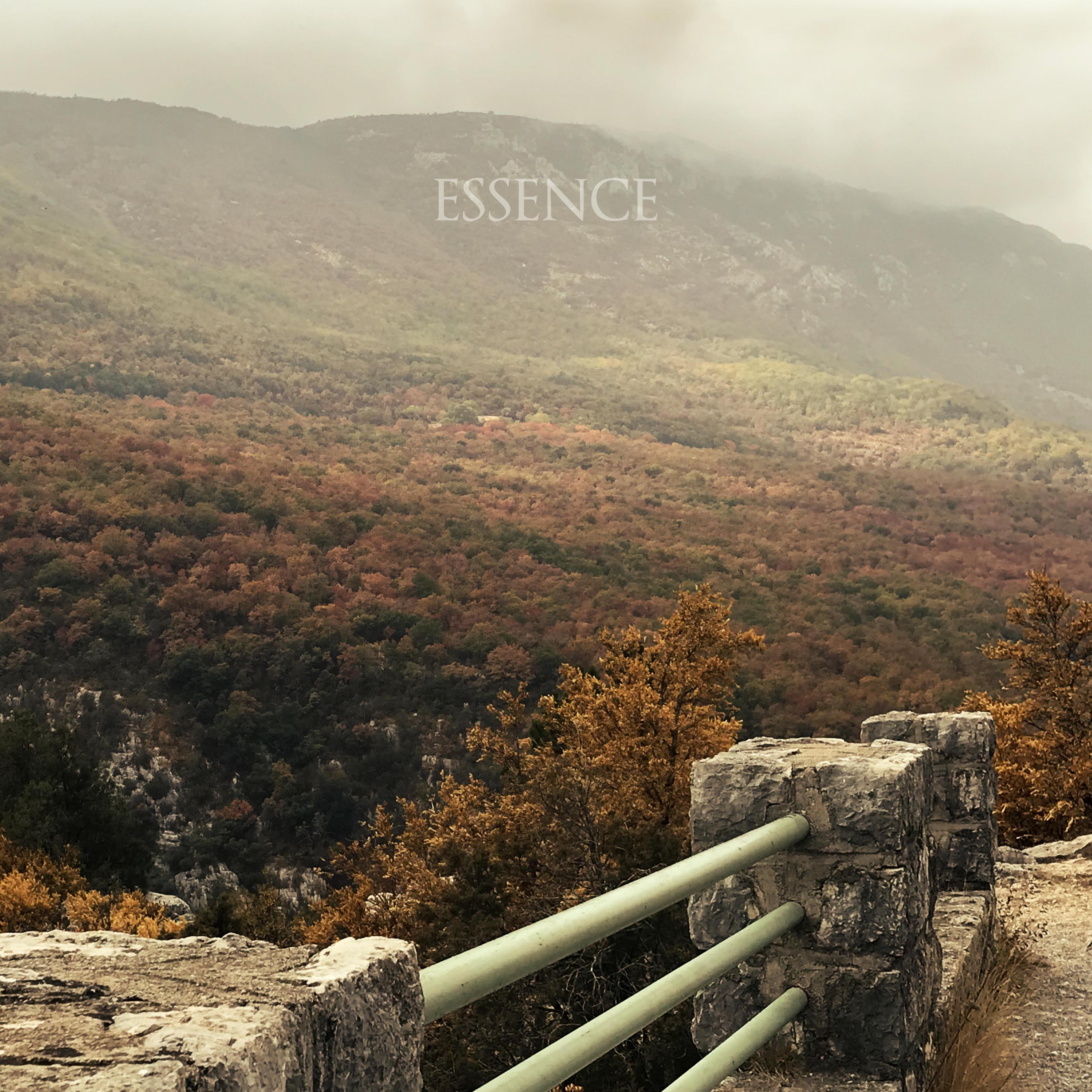 Релиз essence