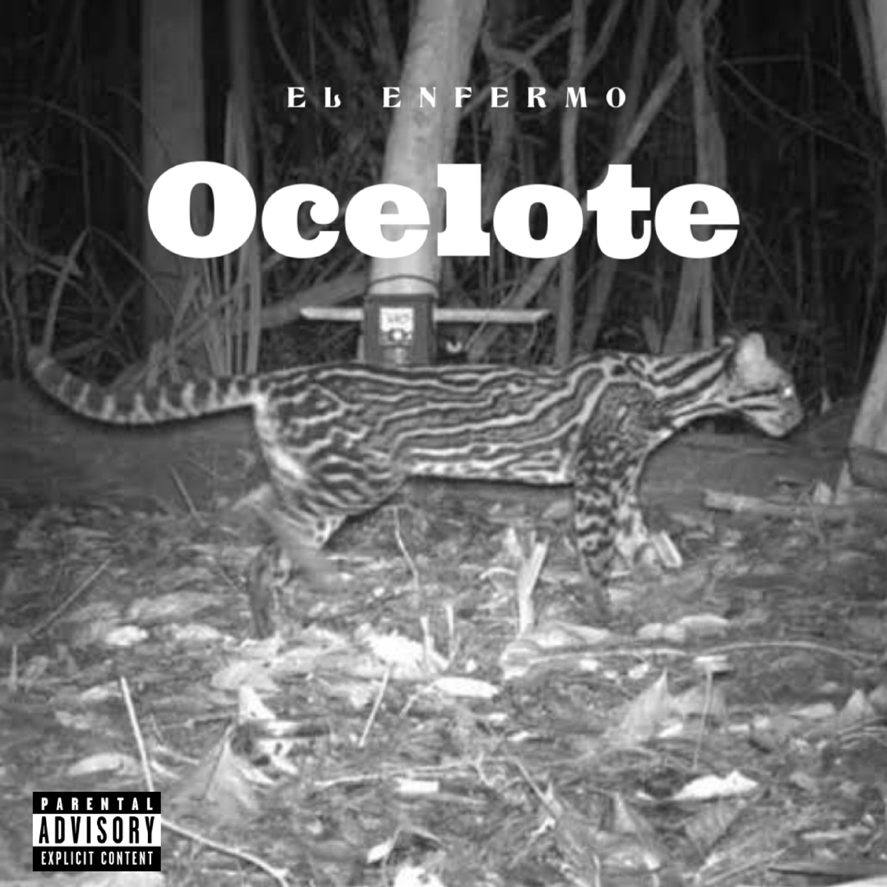 Релиз Ocelote