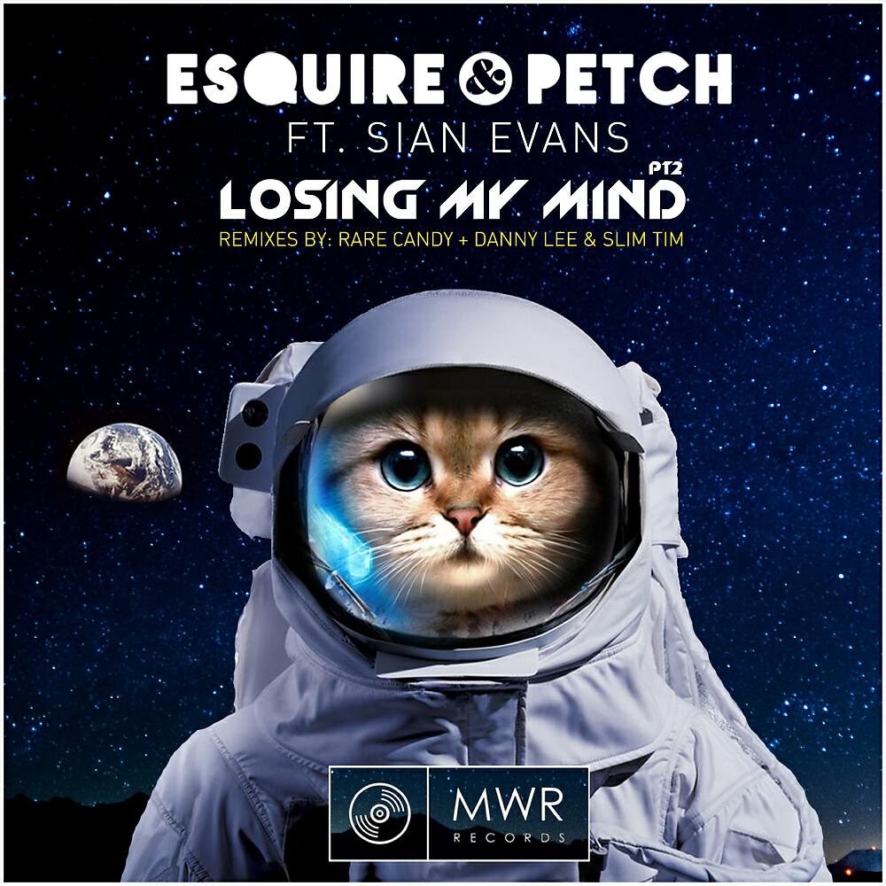 Постер альбома Losing My Mind: Remixes