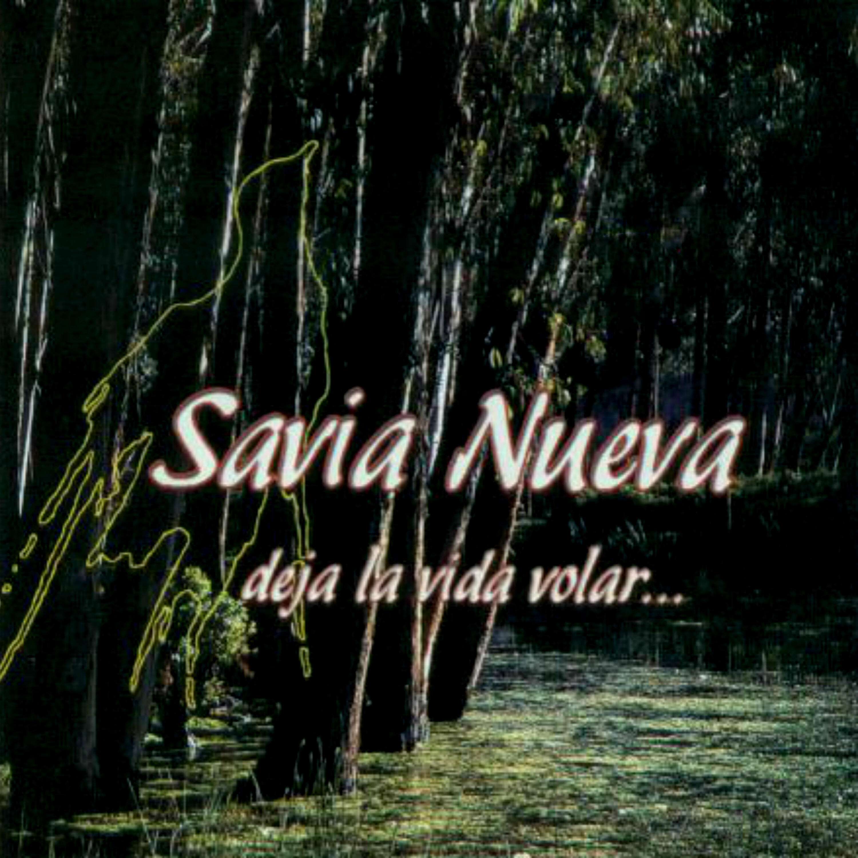 Релиз Deja la Vida Volar