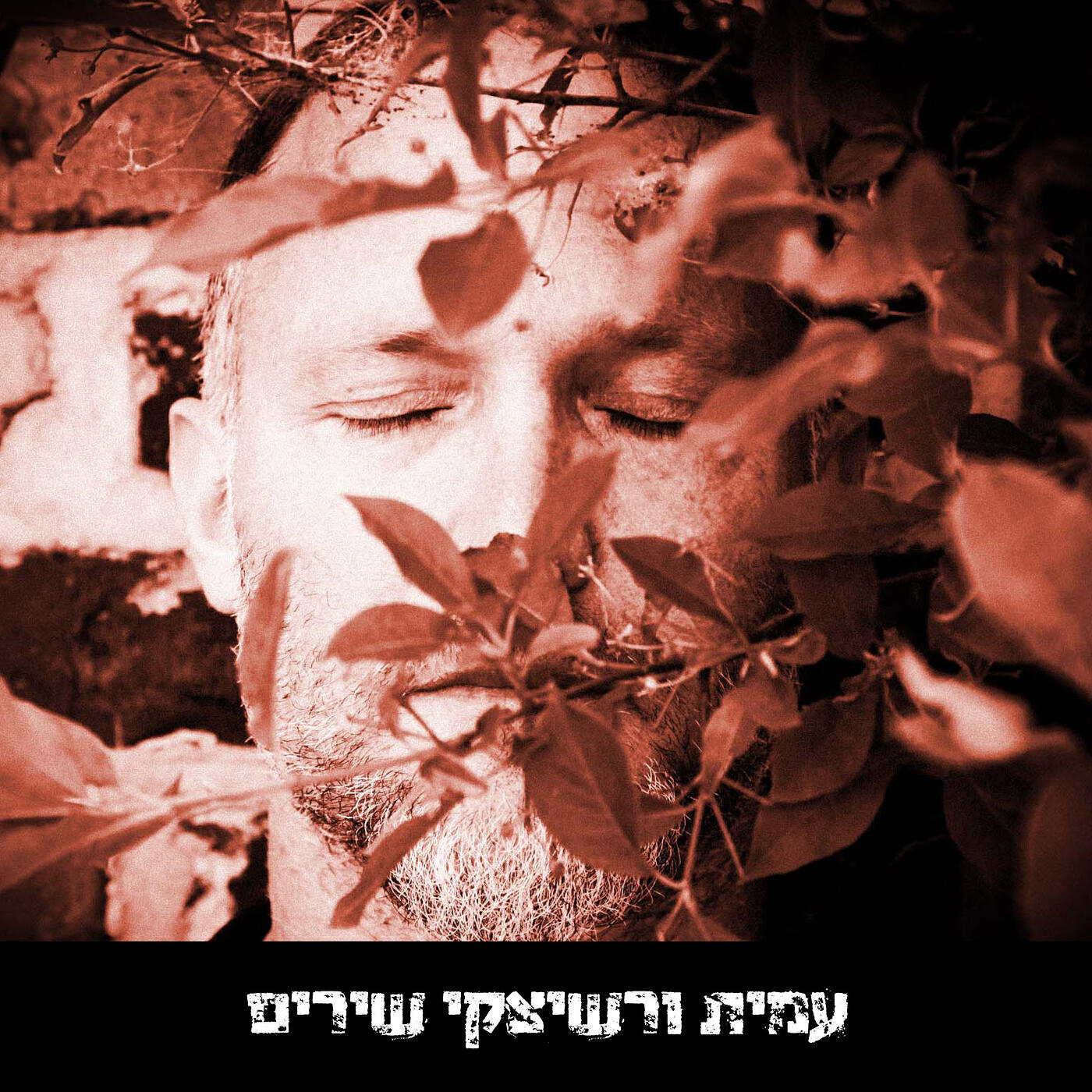 Релиз שירים