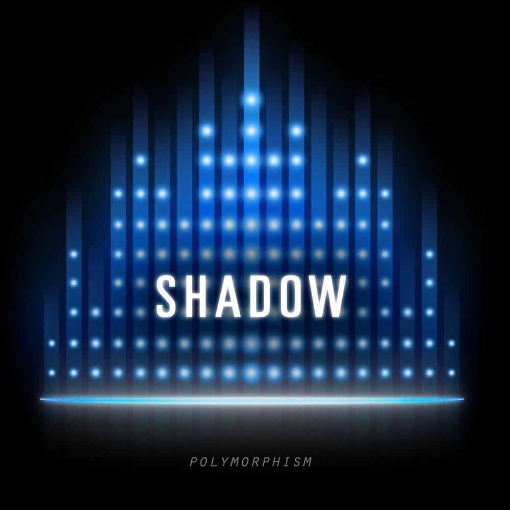 Релиз Polymorphism