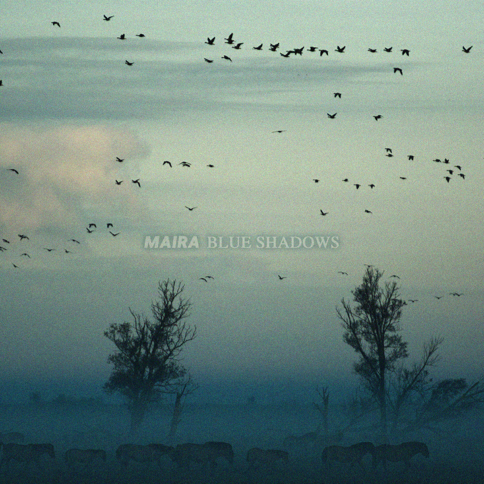 Релиз Blue Shadows