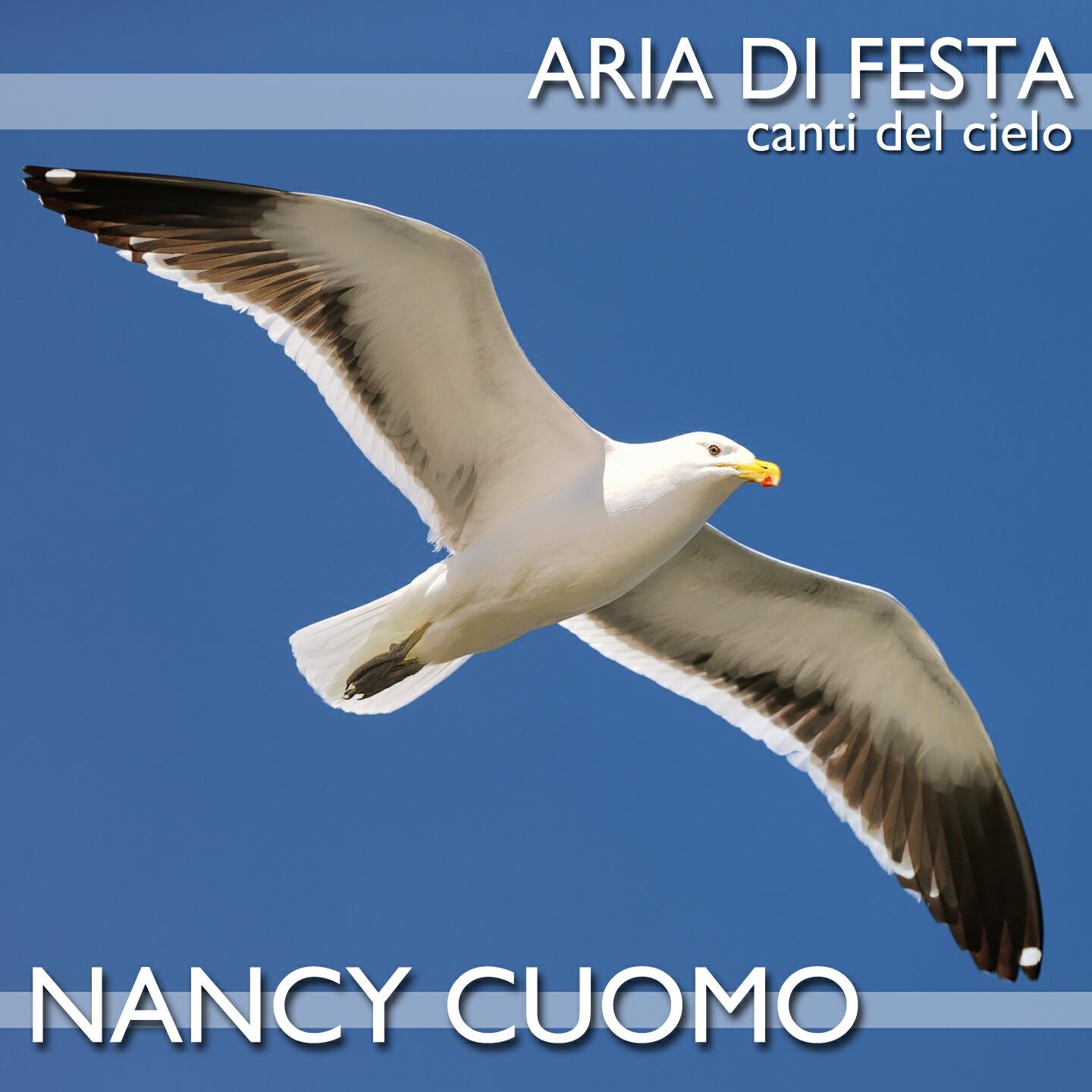 Релиз Aria di festa