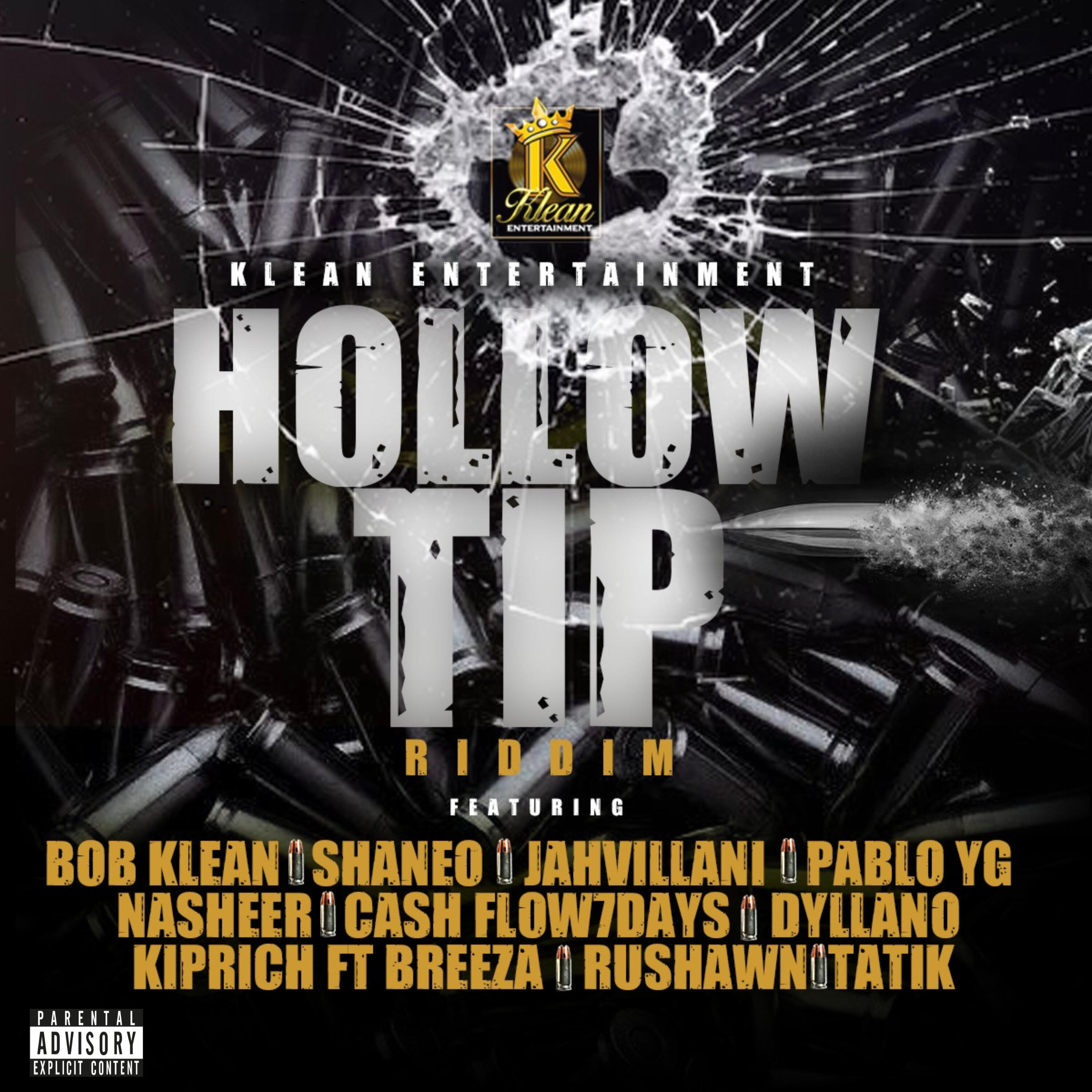 Релиз Hollow Tip Riddim