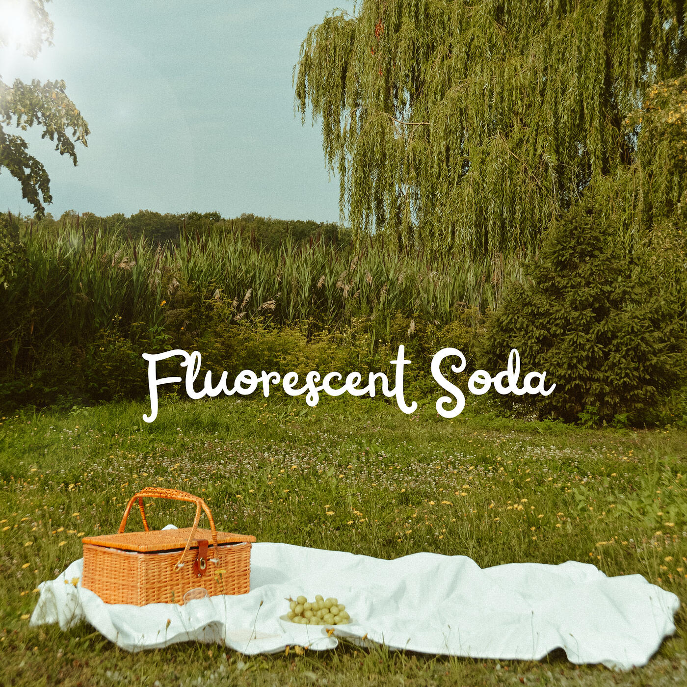Релиз Fluorescent Soda